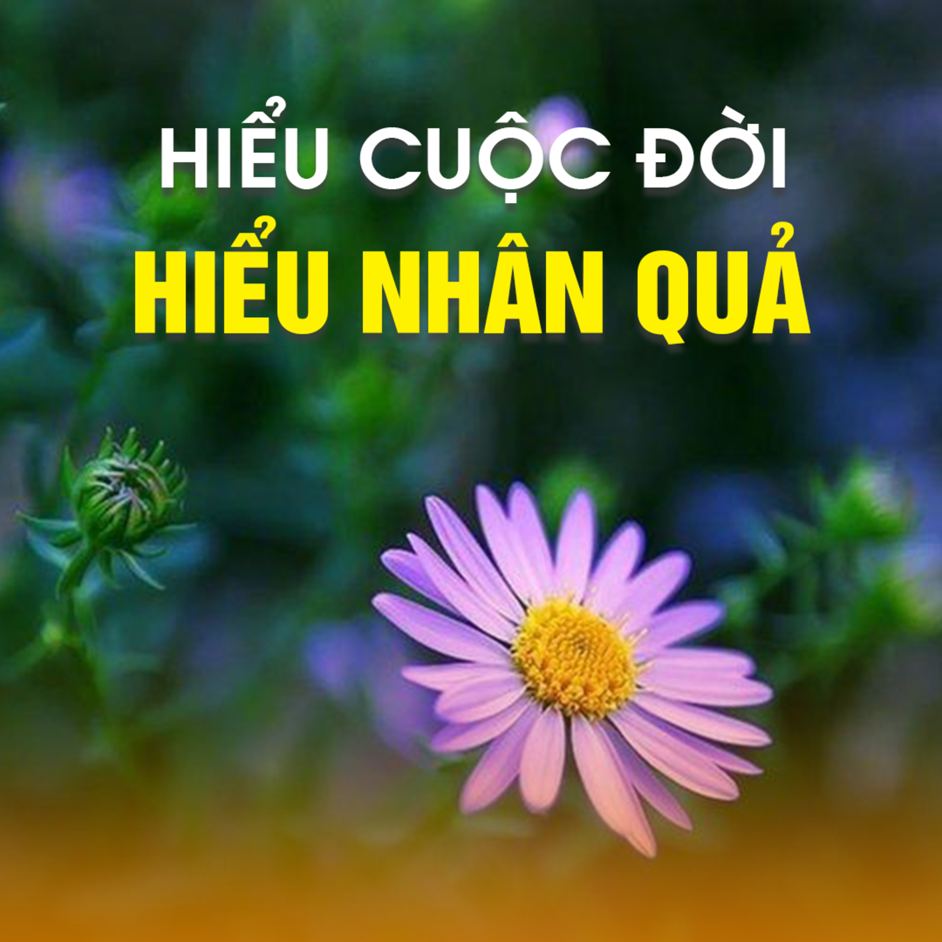 HIỂU NHÂN QUẢ - HIỂU CUỘC ĐỜI - Trích Khoa Học Về Thiền Định - TT.TS. Thích Chân Quang episode artwork