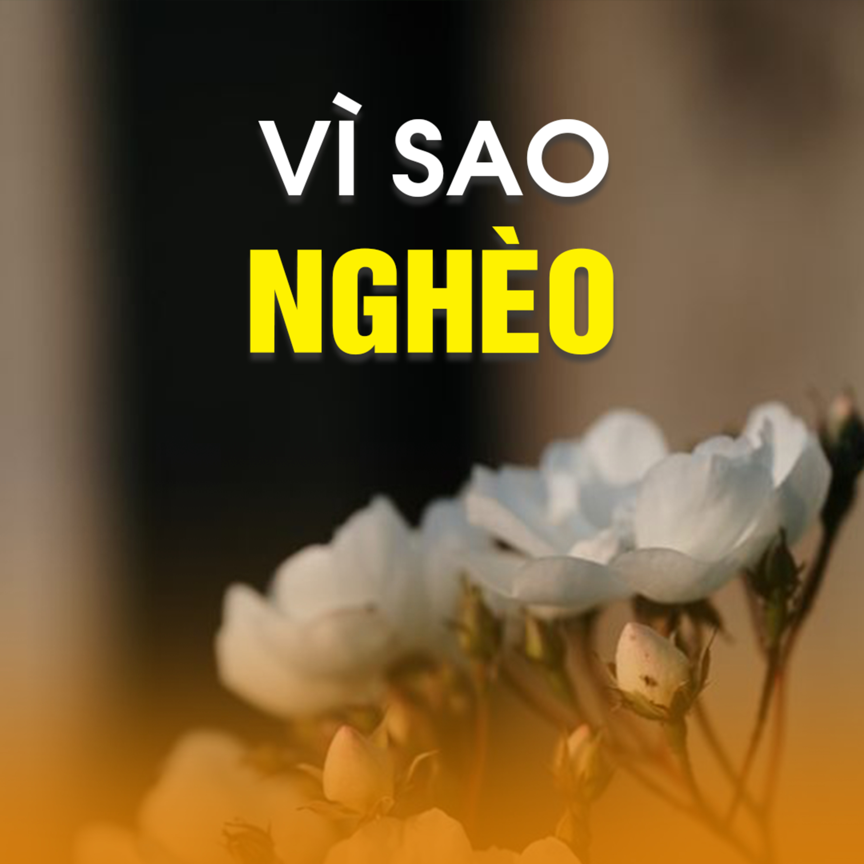 Vì Sao Nghèo? - Trích trong bài Triết lý về tiền bạc A - TT.TS. Thích Chân Quang episode artwork