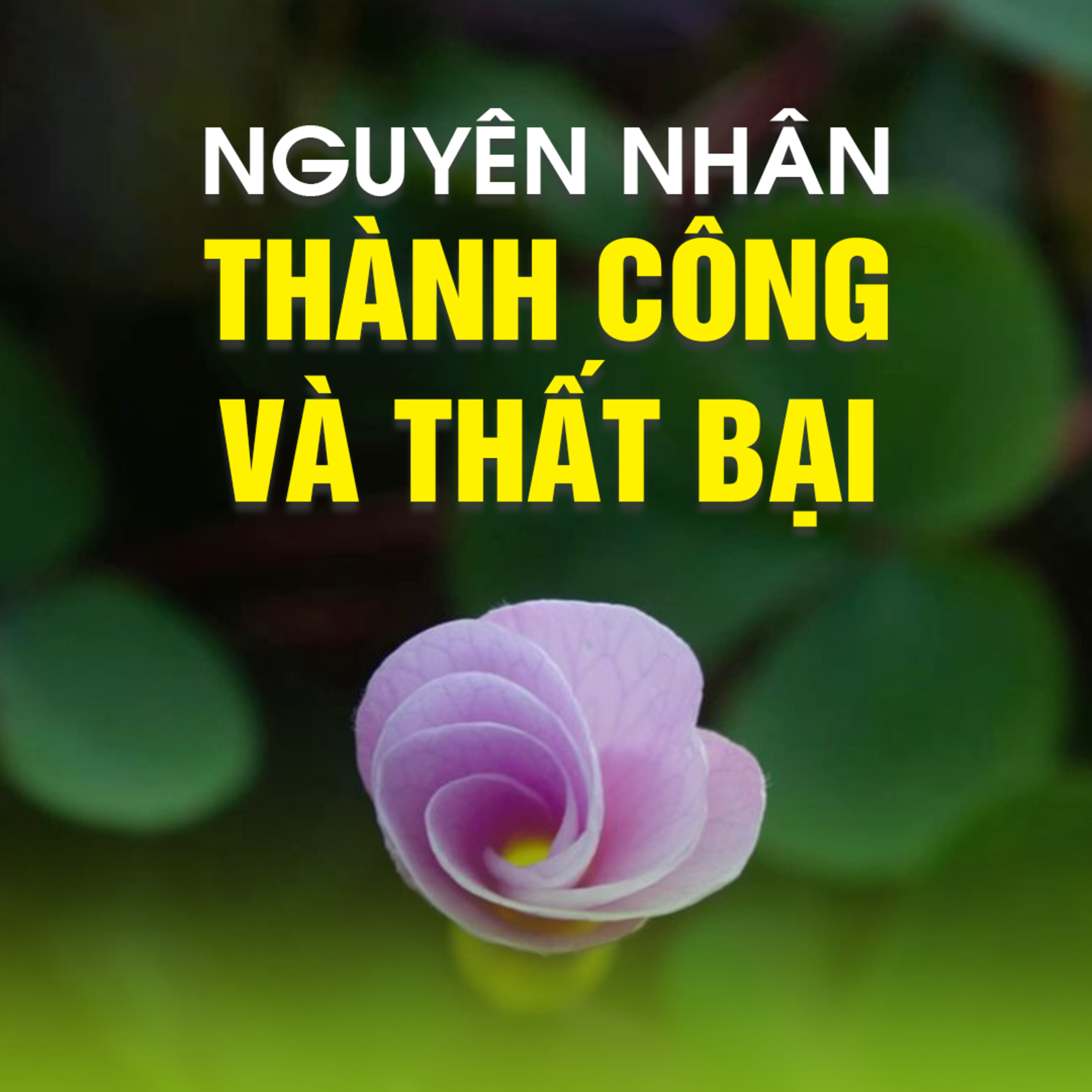 NGUYÊN NHÂN THÀNH CÔNG & THẤT BẠI - Trích bài Tham Vấn Chùa Phật Ngọc Xá Lợi -TT.TS Thích Chân Quang