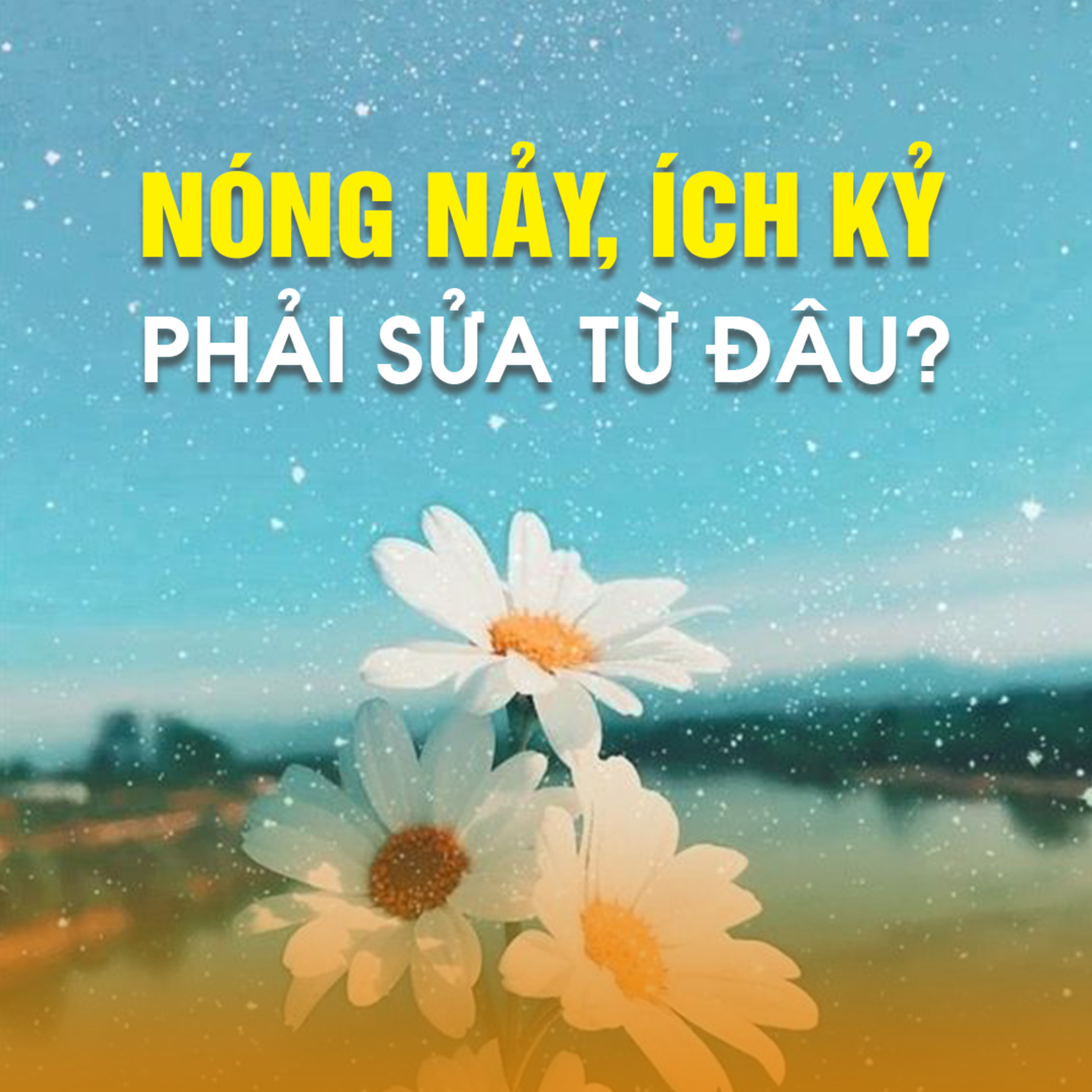 NÓNG NẢY - ÍCH KỶ PHẢI SỬA TỪ ĐÂU? -Trích bài Ngu Mà Biết Mình Ngu Pháp Cú 24-TT.TS Thích Chân Quang episode artwork