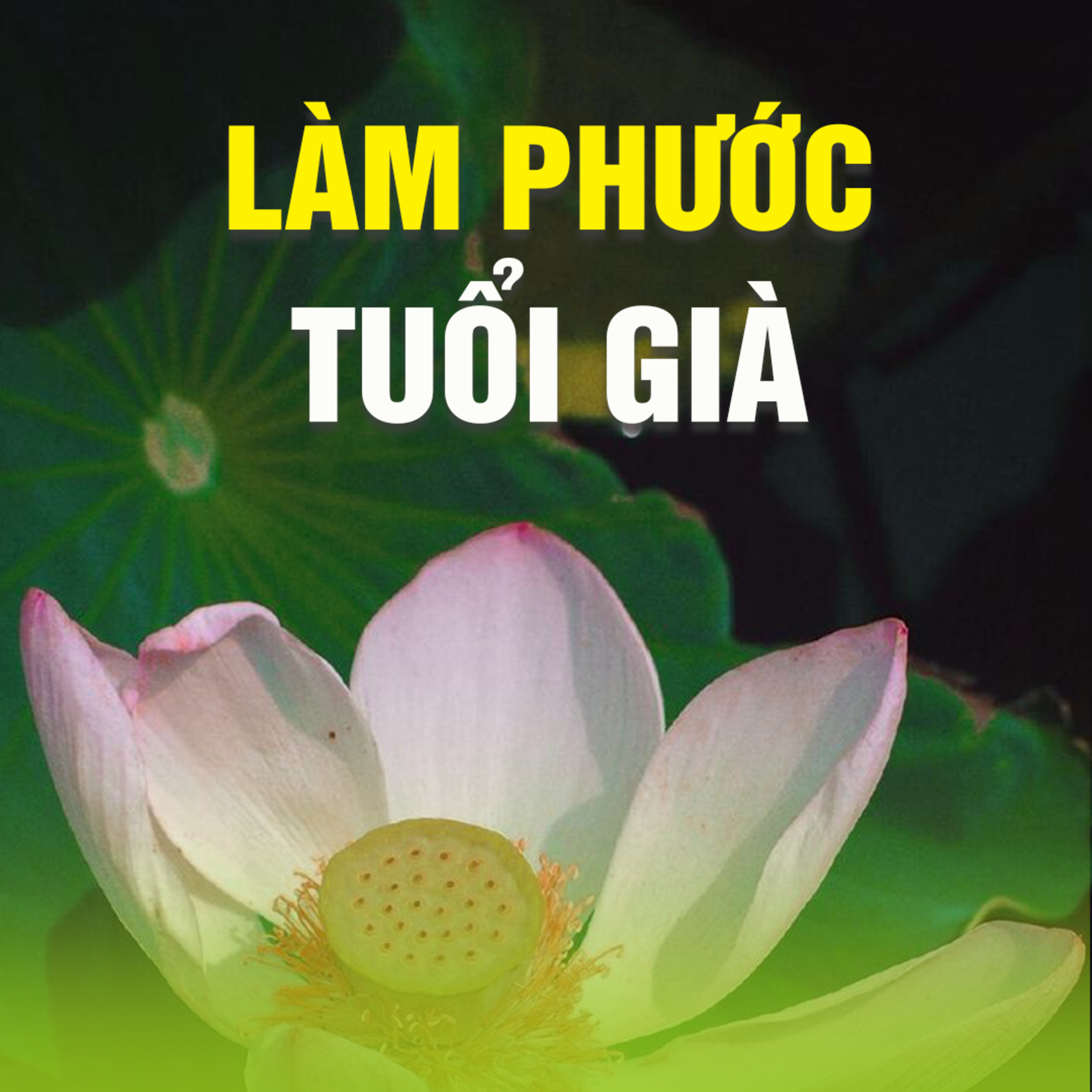 LÀM PHƯỚC TUỔI GIÀ - Trích bài Còn Phước Đem Theo - TT. TS. Thích Chân Quang episode artwork