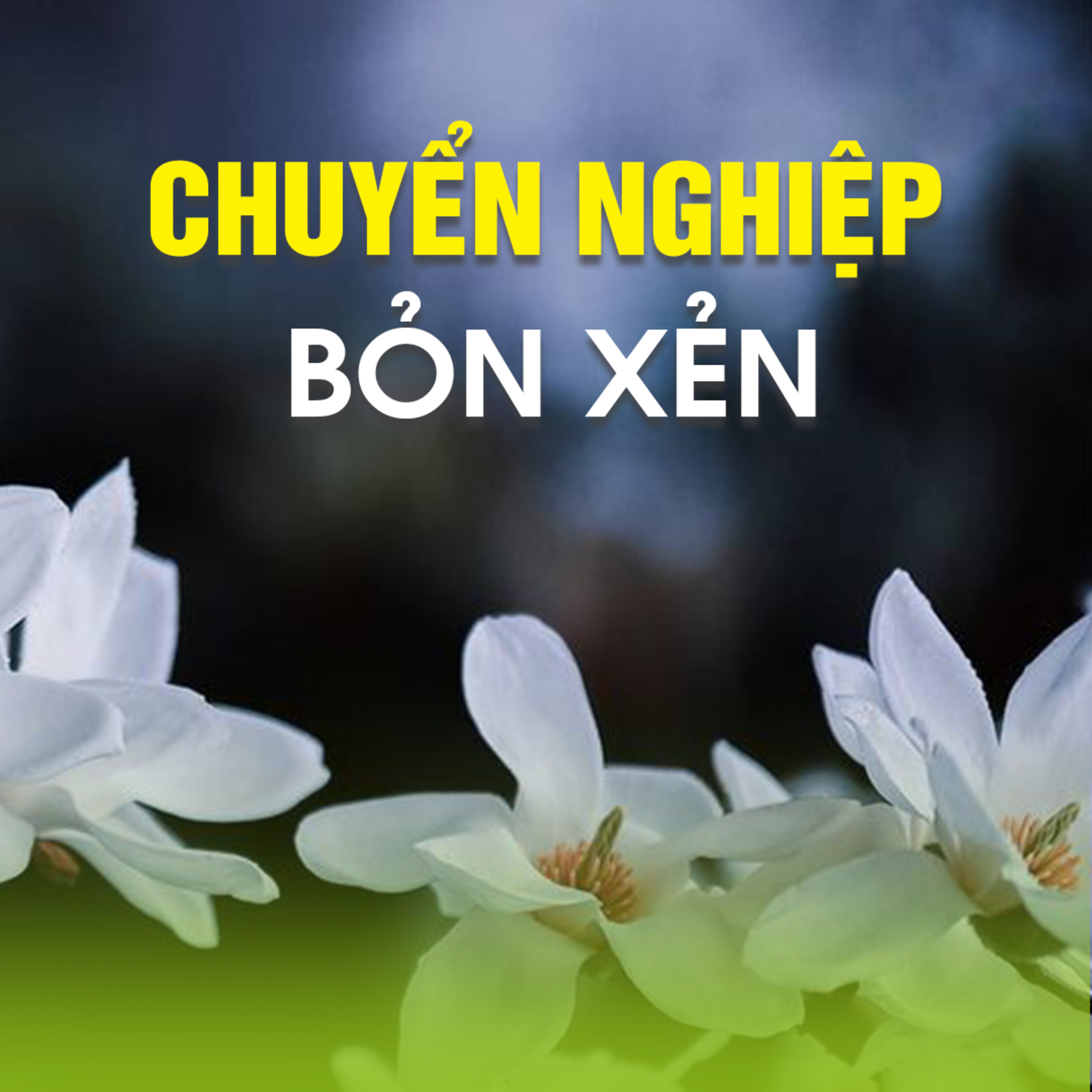 CHUYỂN NGHIỆP BỎN XẺN - Trích bài Nhân Quả Giàu Nghèo - TT. TS. Thích Chân Quang episode artwork