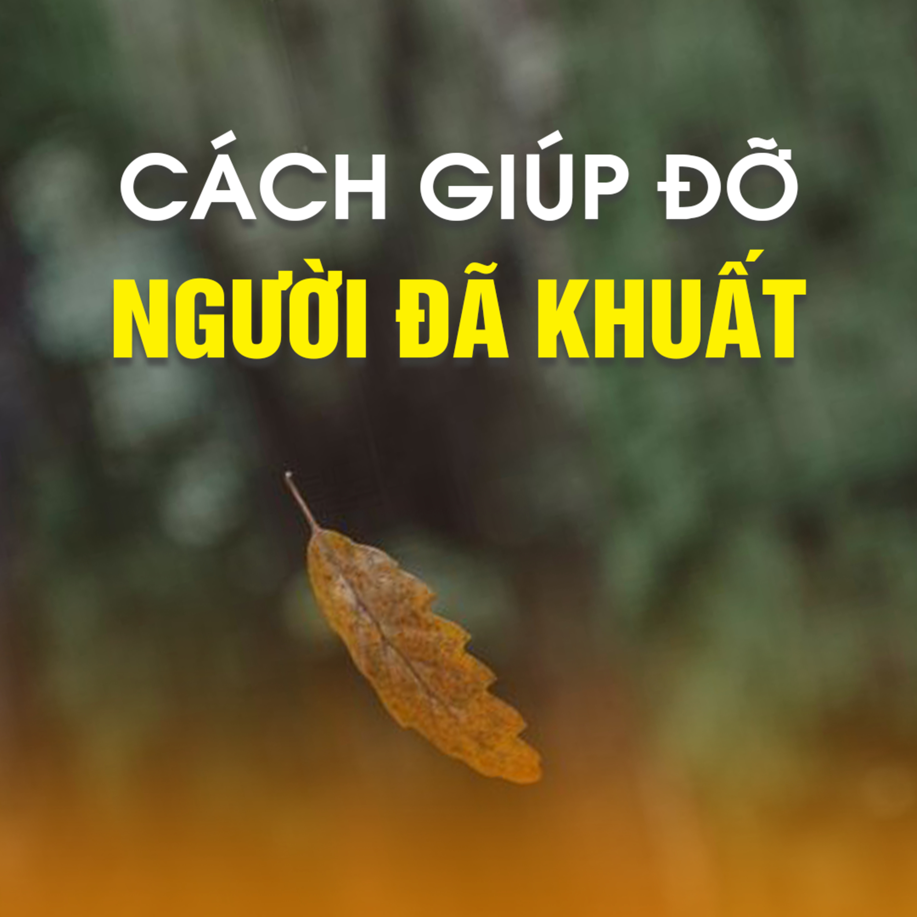 Cách Giúp Đỡ Người Đã Khuất -Trích bài Cõi sống cõi chết Đại lễ Vu Lan 2017-TT. TS. Thích Chân Quang episode artwork