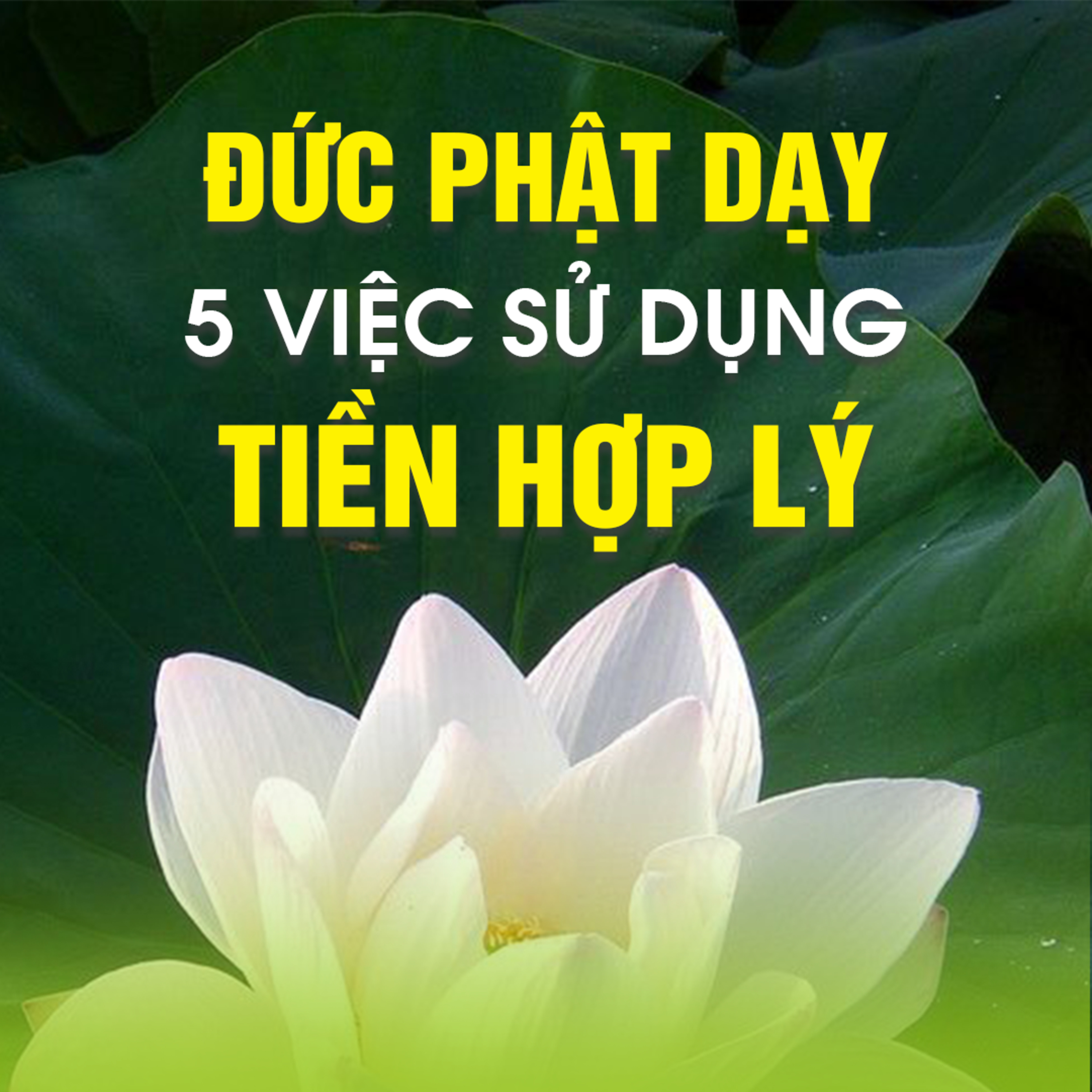 Đức Phật dạy 5 việc sử dụng tiền hợp lý - Trích bài Triết lý về tiền bạc B - TT.TS. Thích Chân Quang episode artwork