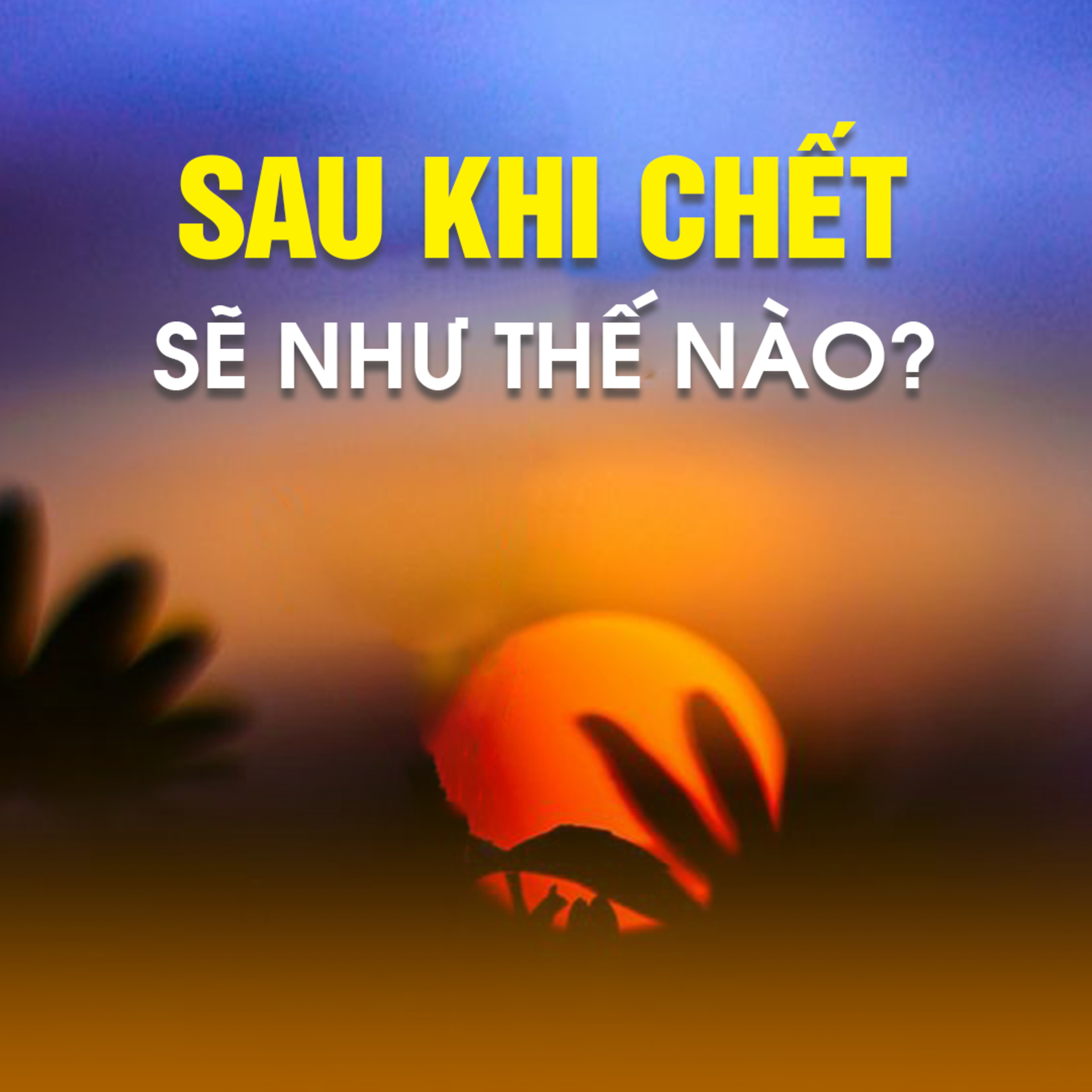 Sau Khi Chết Sẽ Như Thế Nào? - Trích trong bài Triết lý về sự chết A - TT. TS. Thích Chân Quang episode artwork
