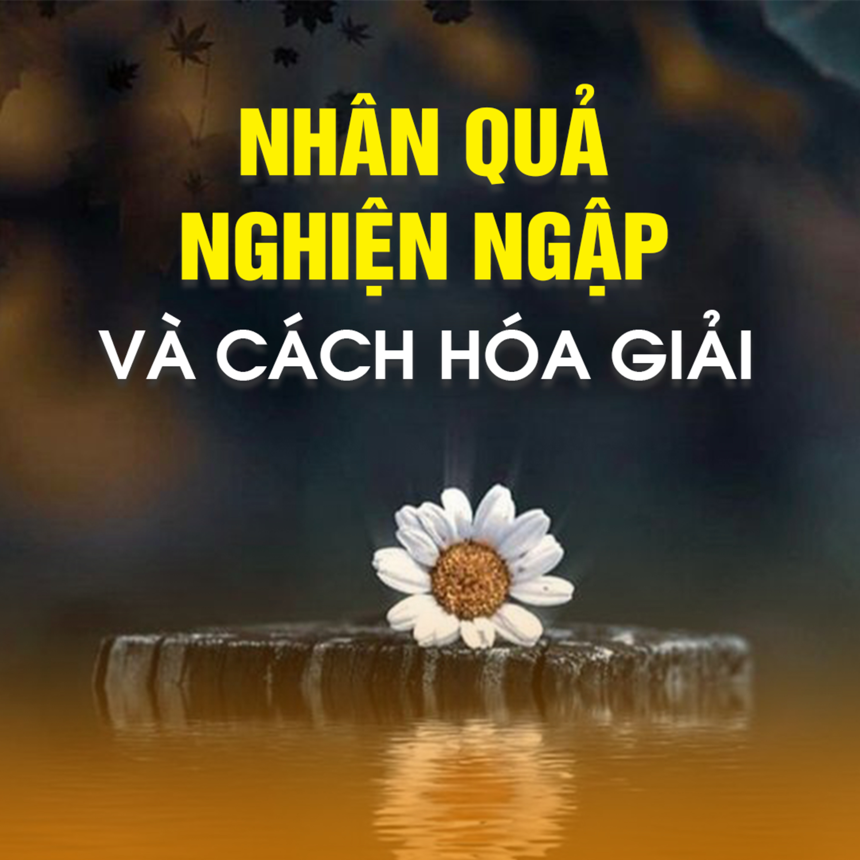 Nhân Quả Nghiện Ngập và Cách Hóa Giải - Trích bài NỘI TÂM VÀ NGHIỆP BÁO A - TT. TS. Thích Chân Quang episode artwork