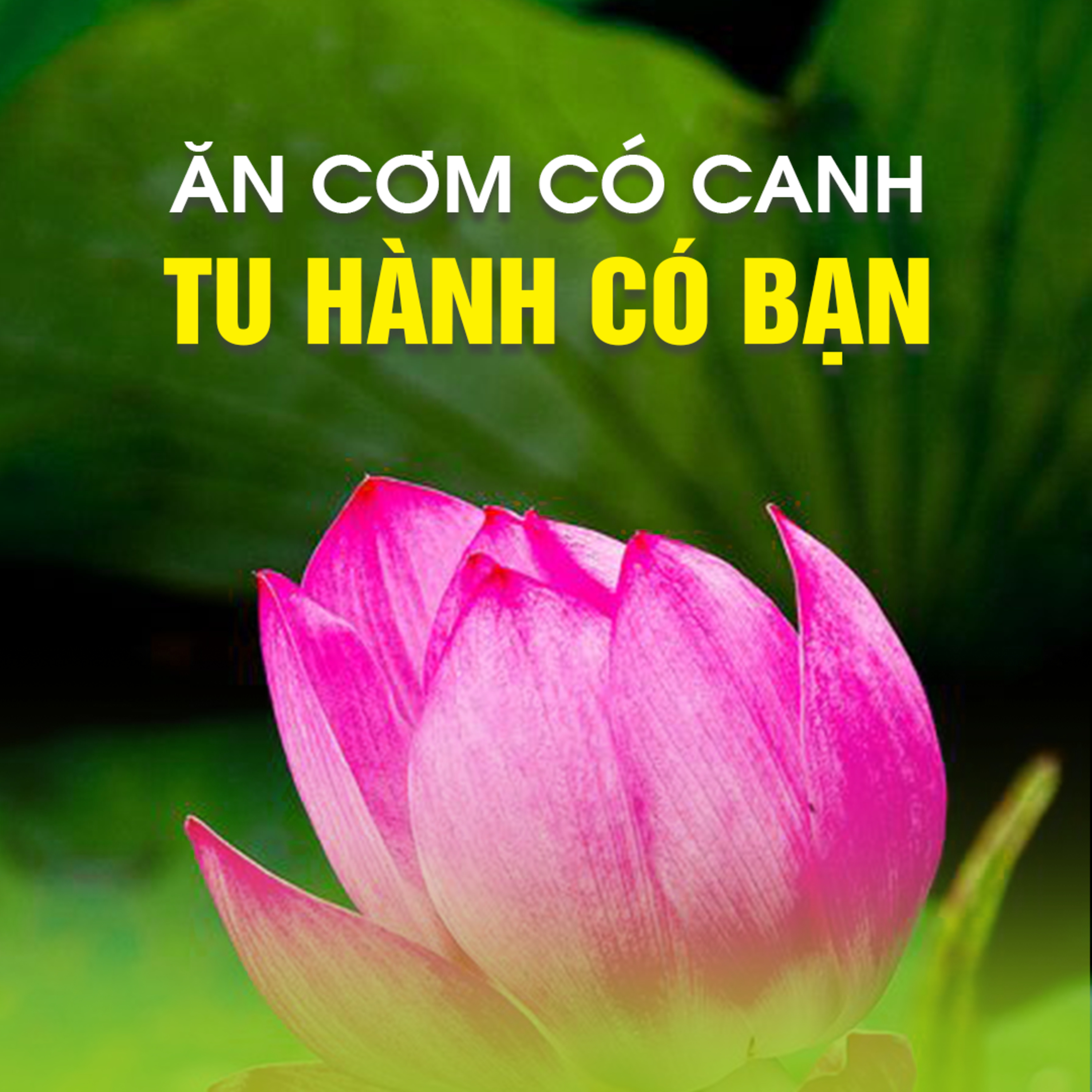 ĂN CƠM CÓ CANH, TU HÀNH CÓ BẠN - Trích bài Hướng Dẫn Thiền Chùa Bồ Đề - TT. TS Thích Chân Quang episode artwork