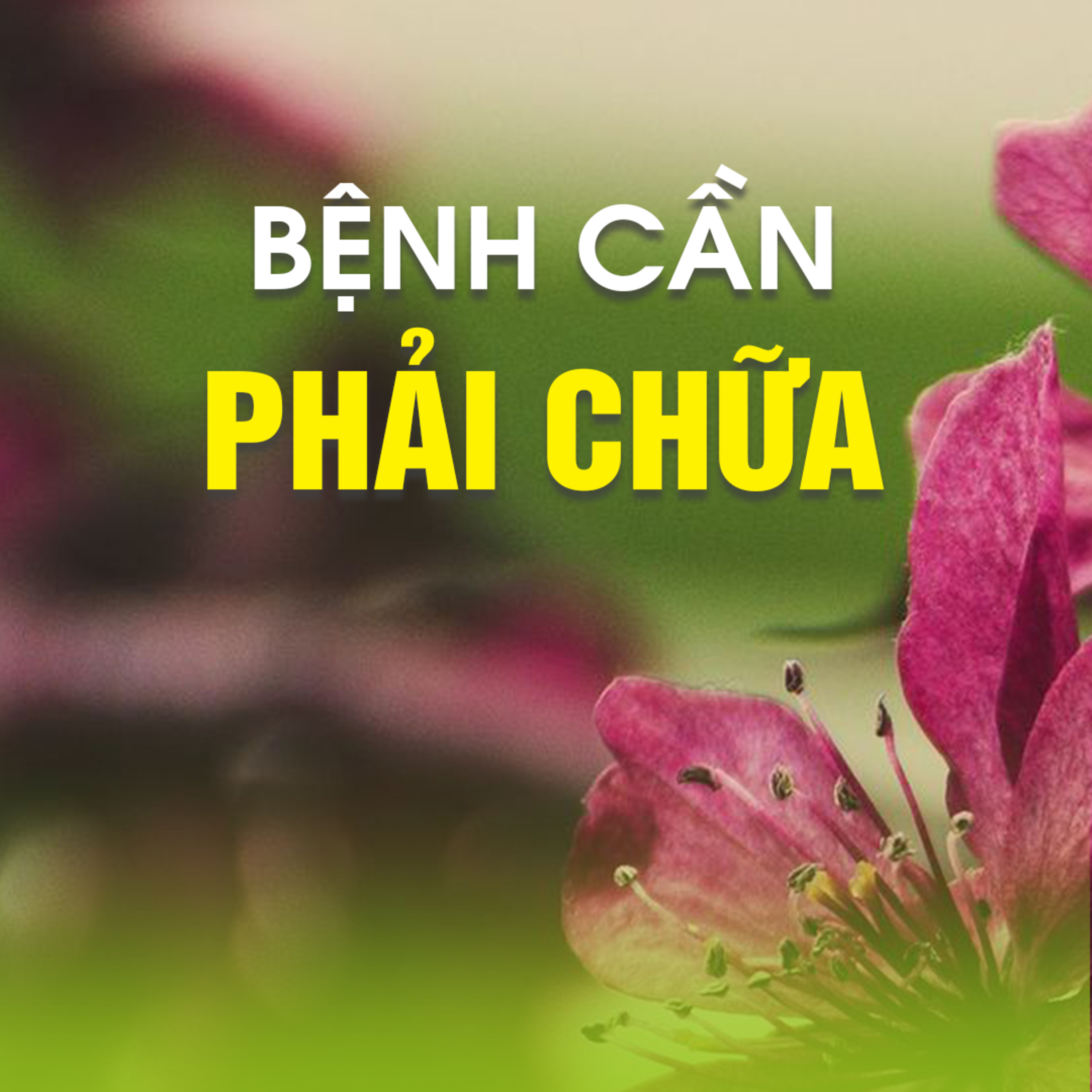 BỆNH CẦN PHẢI CHỮA - Trích trong bài Người Nhớ Tiền Kiếp - Pháp Cú 19 - TT. TS. Thích Chân Quang episode artwork
