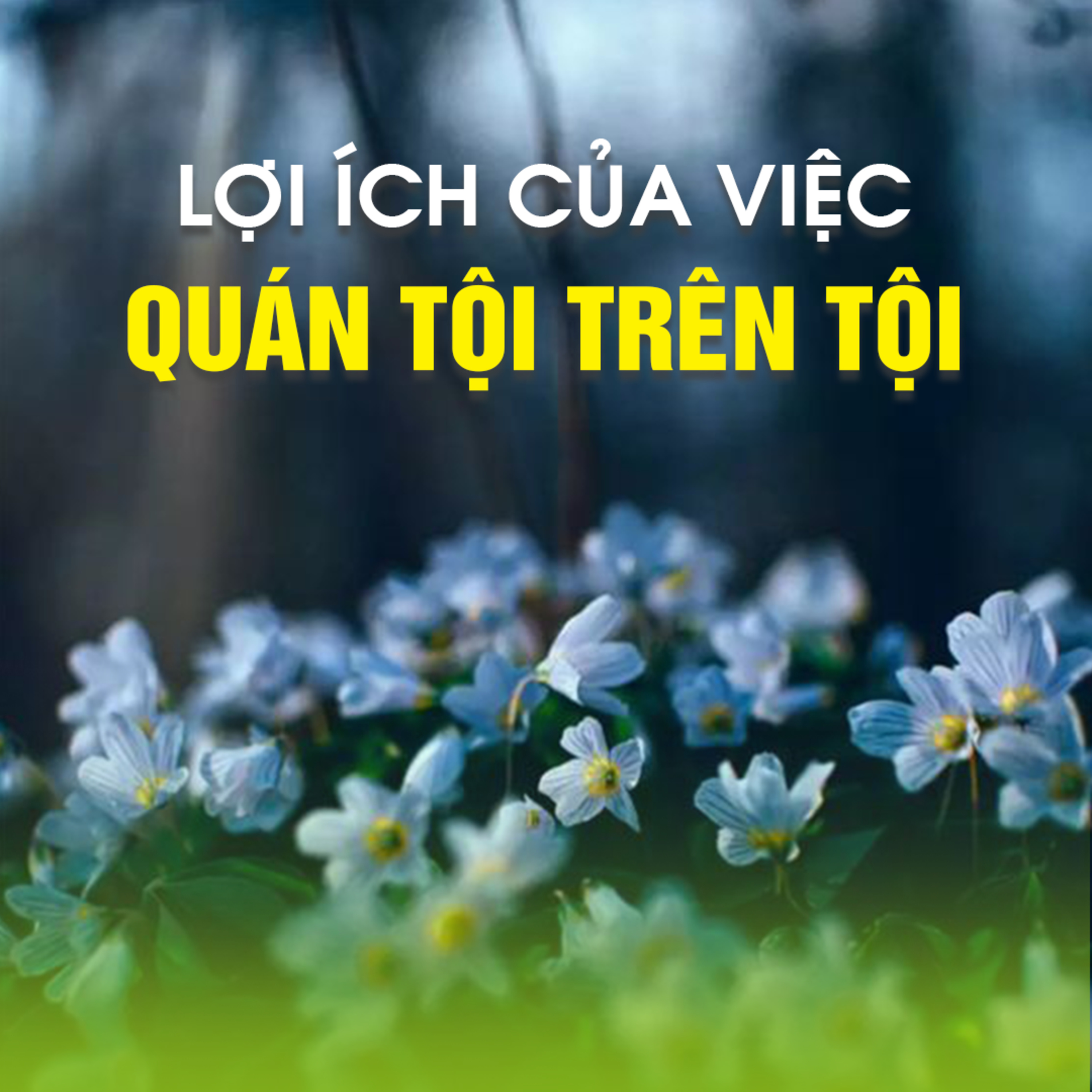 LỢI ÍCH CỦA VIỆC QUÁN TỘI TRÊN TỘI - TT.TS Thích Chân Quang - Chùa Huệ Lâm - Đà Lạt - 28/05/2023 episode artwork