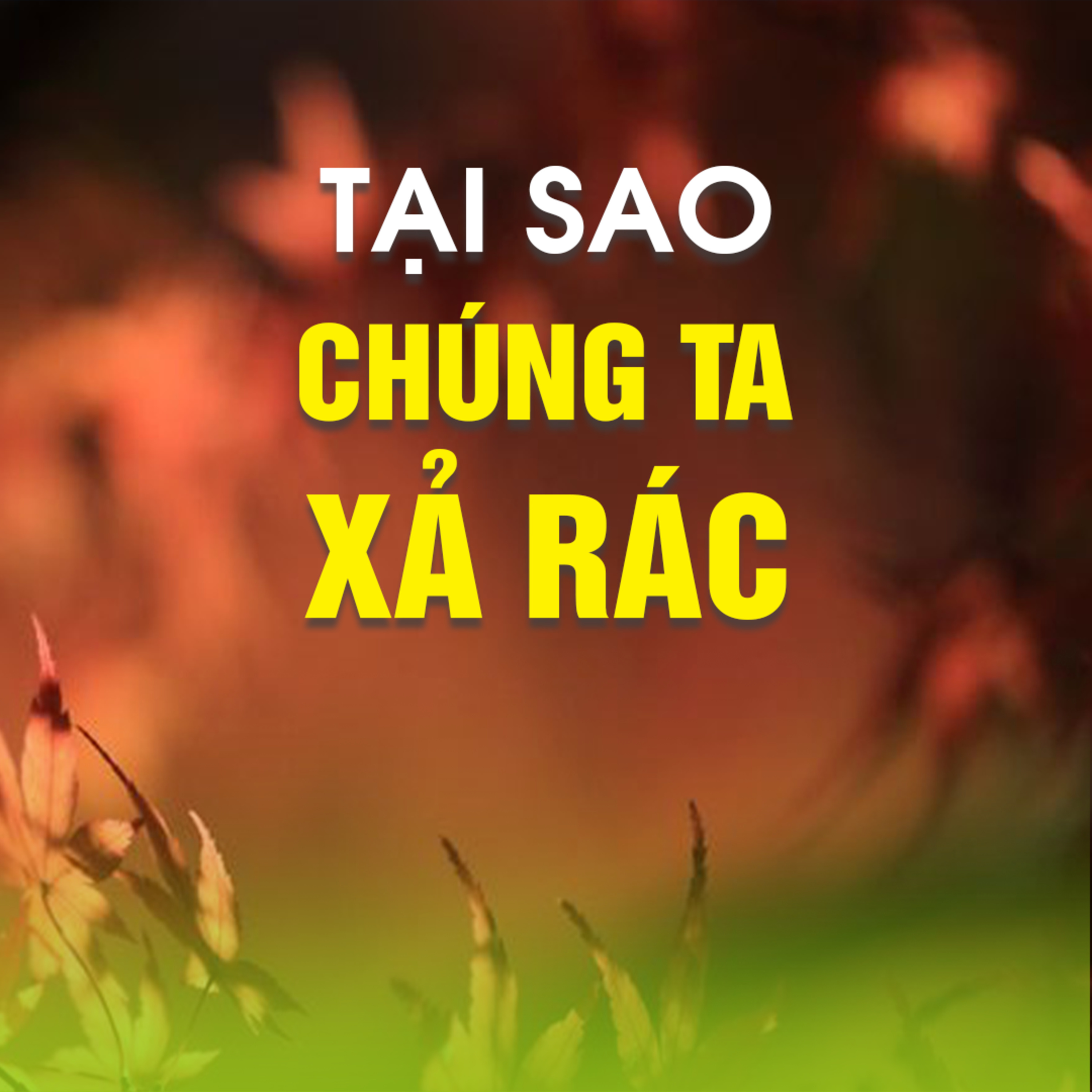 Tại Sao Chúng Ta Xả Rác? - Trích trong bài Làm Sao Để Trở Thành Vĩ Nhân - TT. TS. Thích Chân Quang