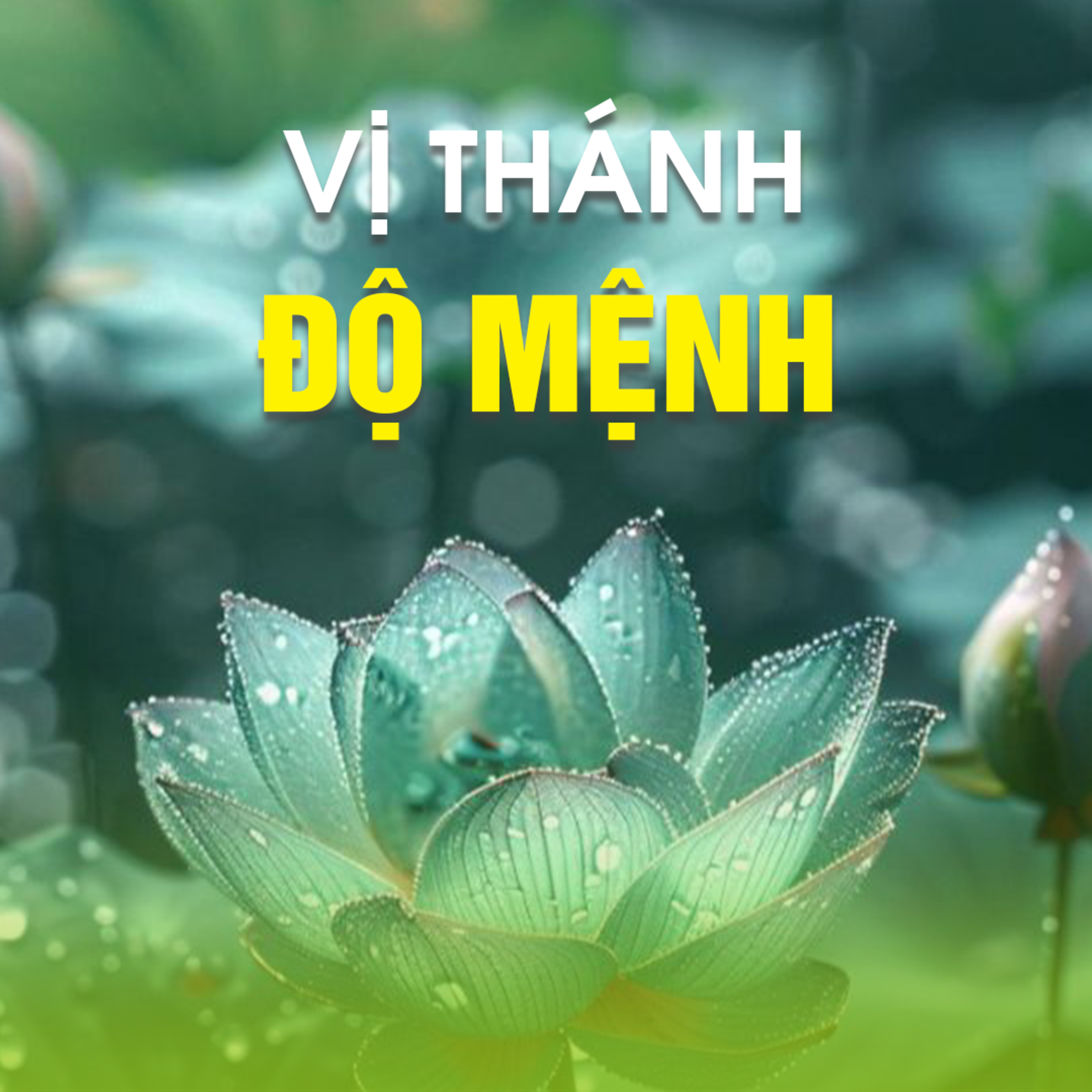 VỊ THÁNH ĐỘ MỆNH - Trích bài Công Đức Lễ Kính A La Hán - Thánh Độ Mệnh - TT. TS. Thích Chân Quang
