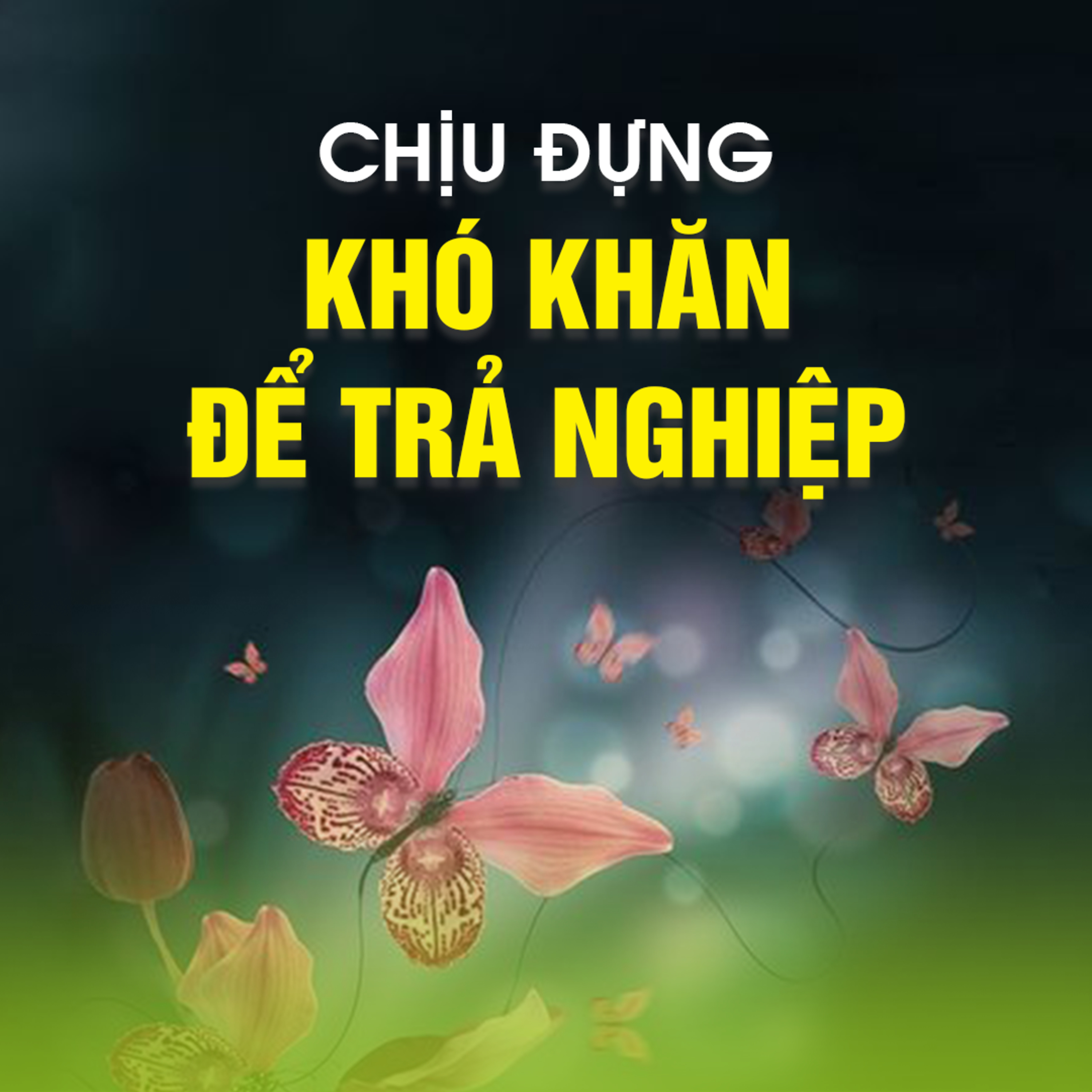 Chịu Đựng Khó Khăn Để Chuyển Nghiệp -Trích Khả Năng Chịu Đựng Nghịch Cảnh - TT.TS. Thích Chân Quang episode artwork