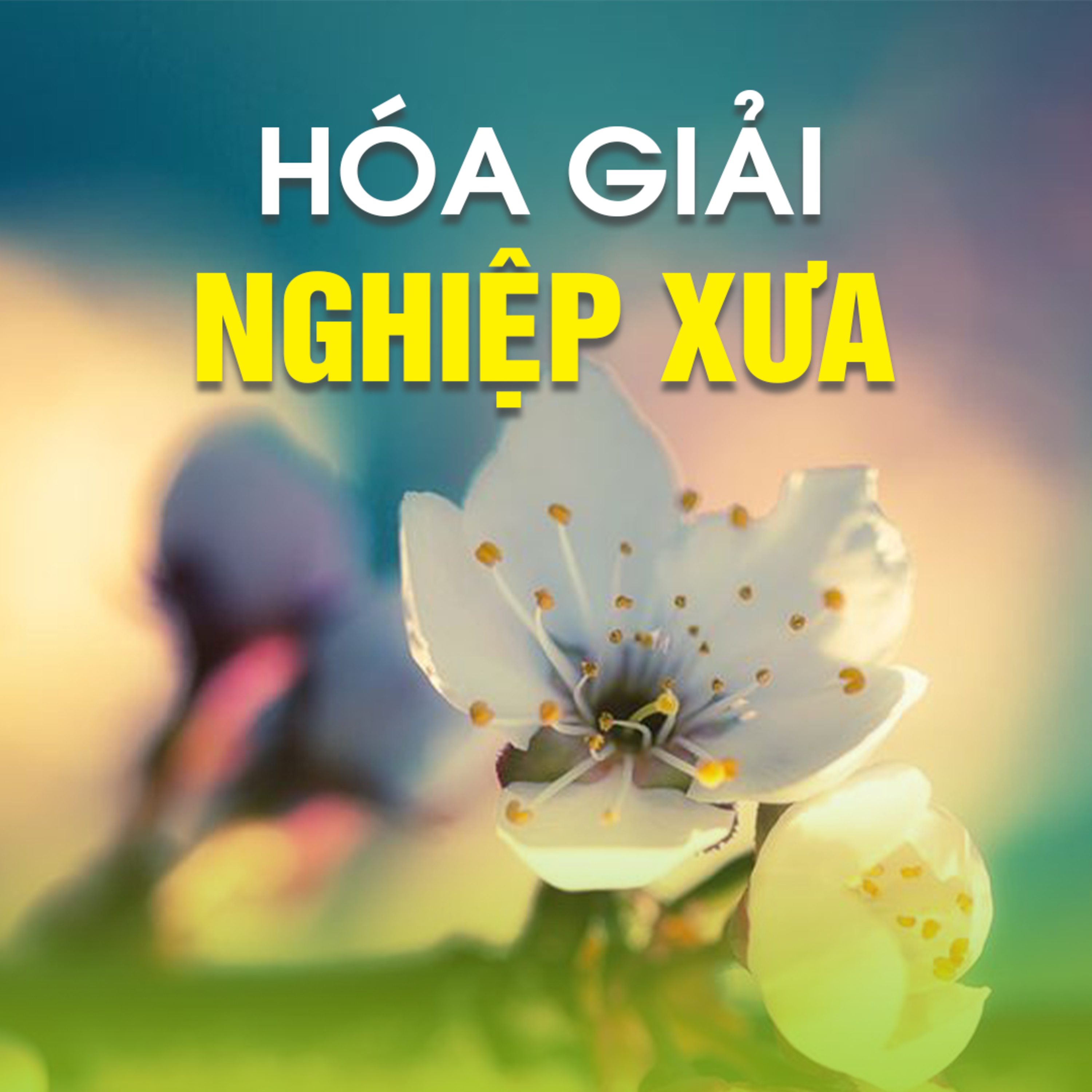 HOÁ GIẢI NGHIỆP XƯA - Trích Nhân & Duyên - TT. TS. Thích Chân Quang episode artwork