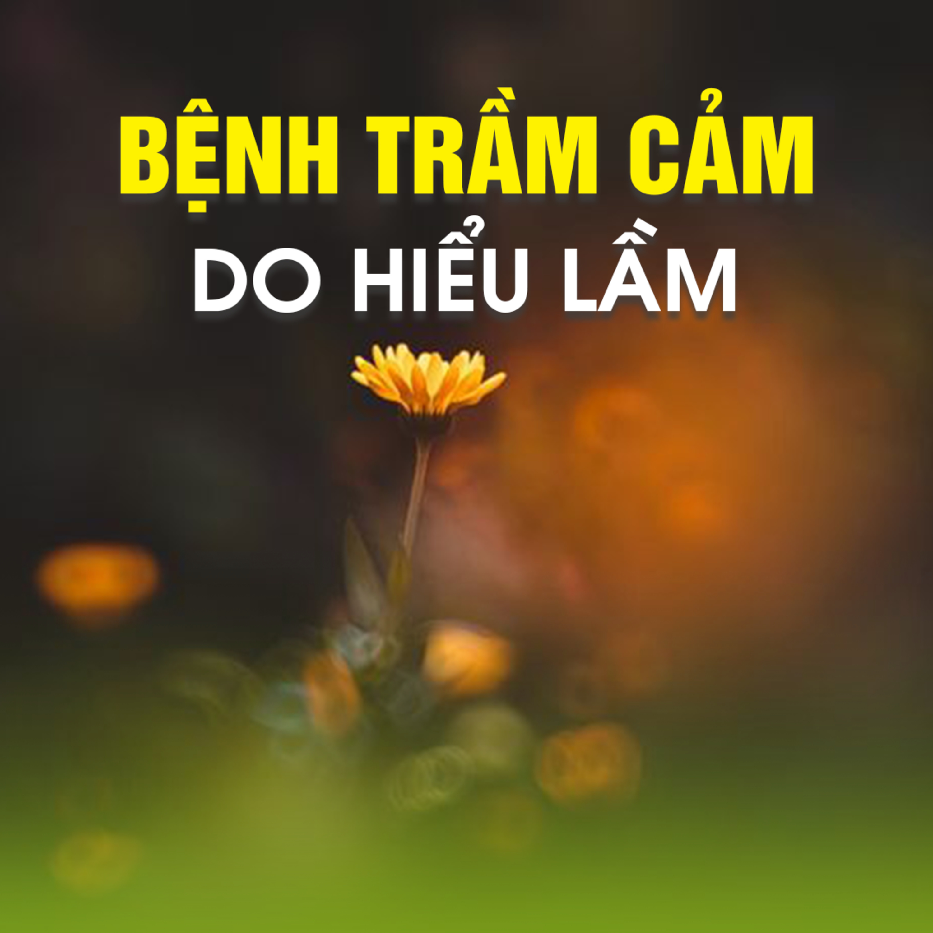 Bệnh Trầm Cảm do hiểu lầm...- Trích bài Giải đáp thắc mắc ngày 23/4/2017 - TT. TS. Thích Chân Quang episode artwork