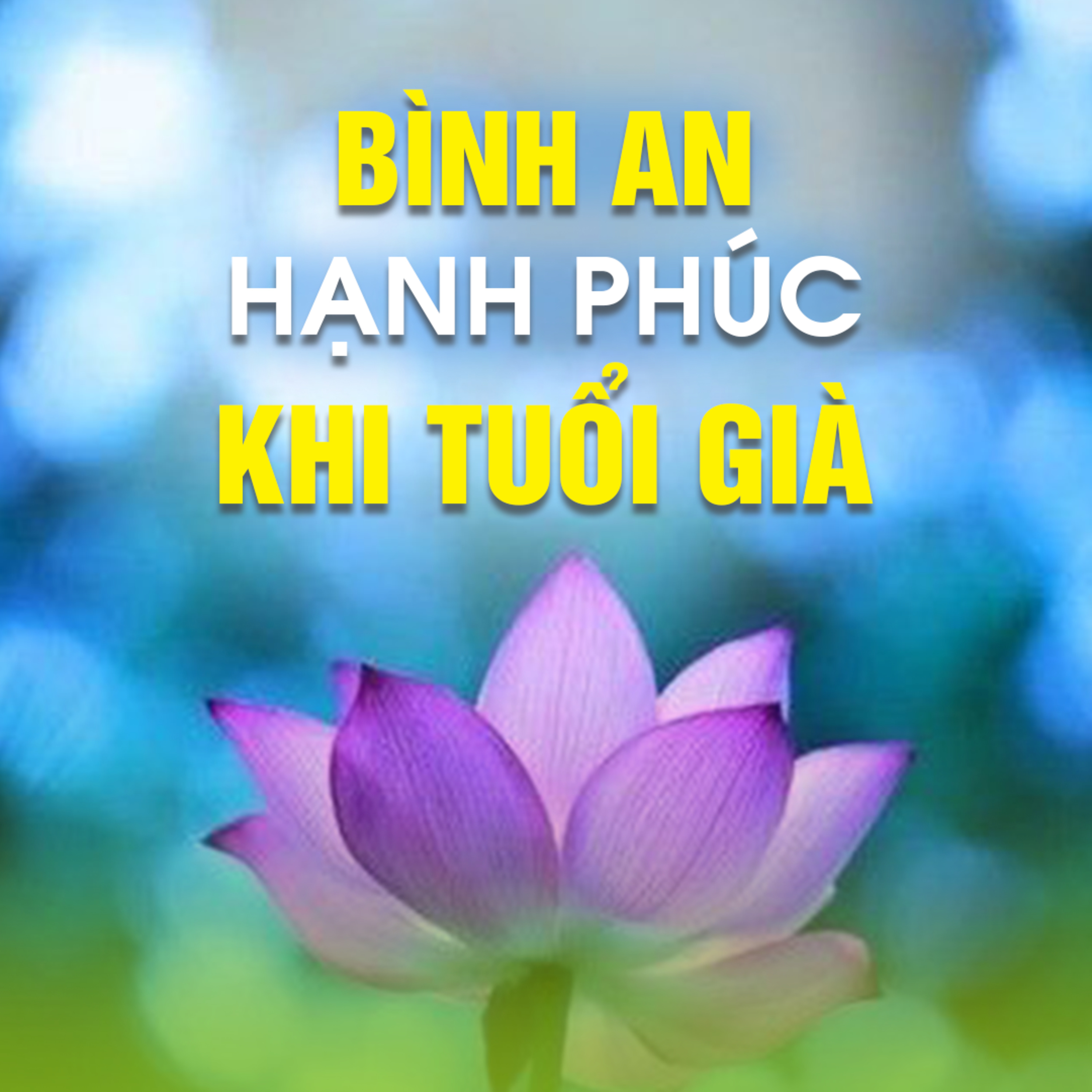 Bình An Hạnh Phúc Khi Tuổi Già - Trích trong bài Mùa xuân và tuổi già B - TT. TS. Thích Chân Quang