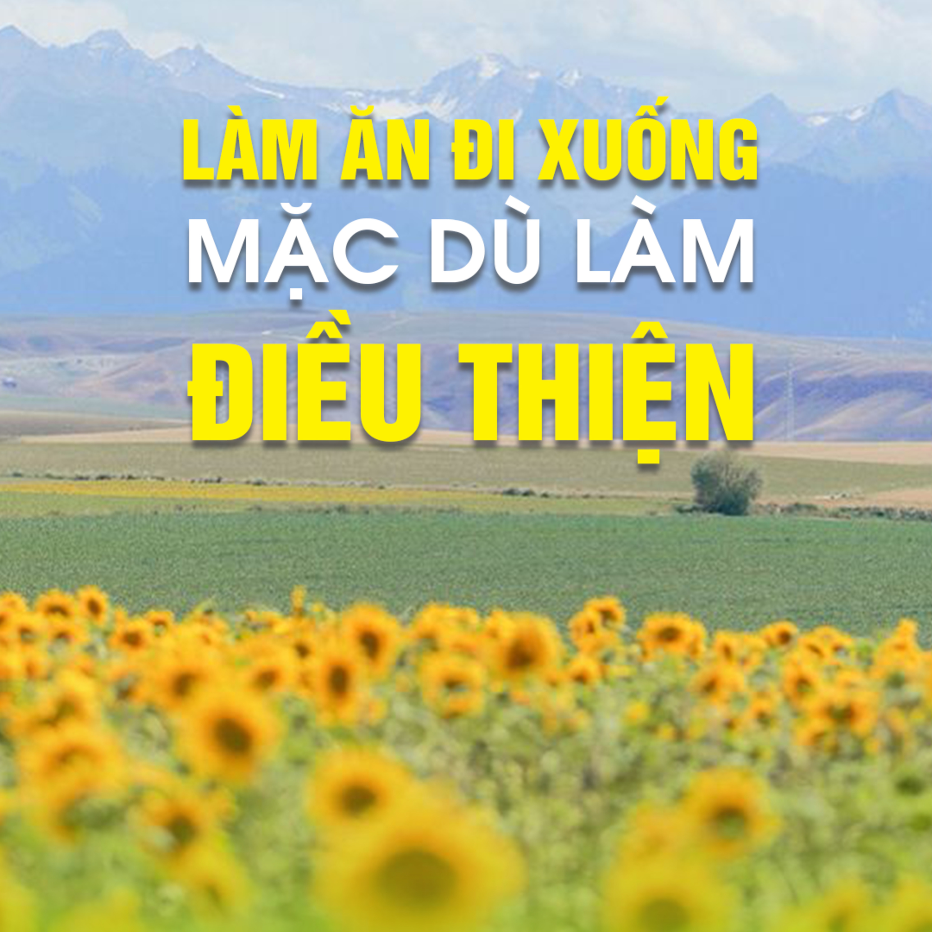 Làm Ăn Đi Xuống Mặc Dù Làm Điều Thiện-Trích bài Giải Đáp Thắc 06/04/2019-TT.TS. Thích Chân Quang episode artwork