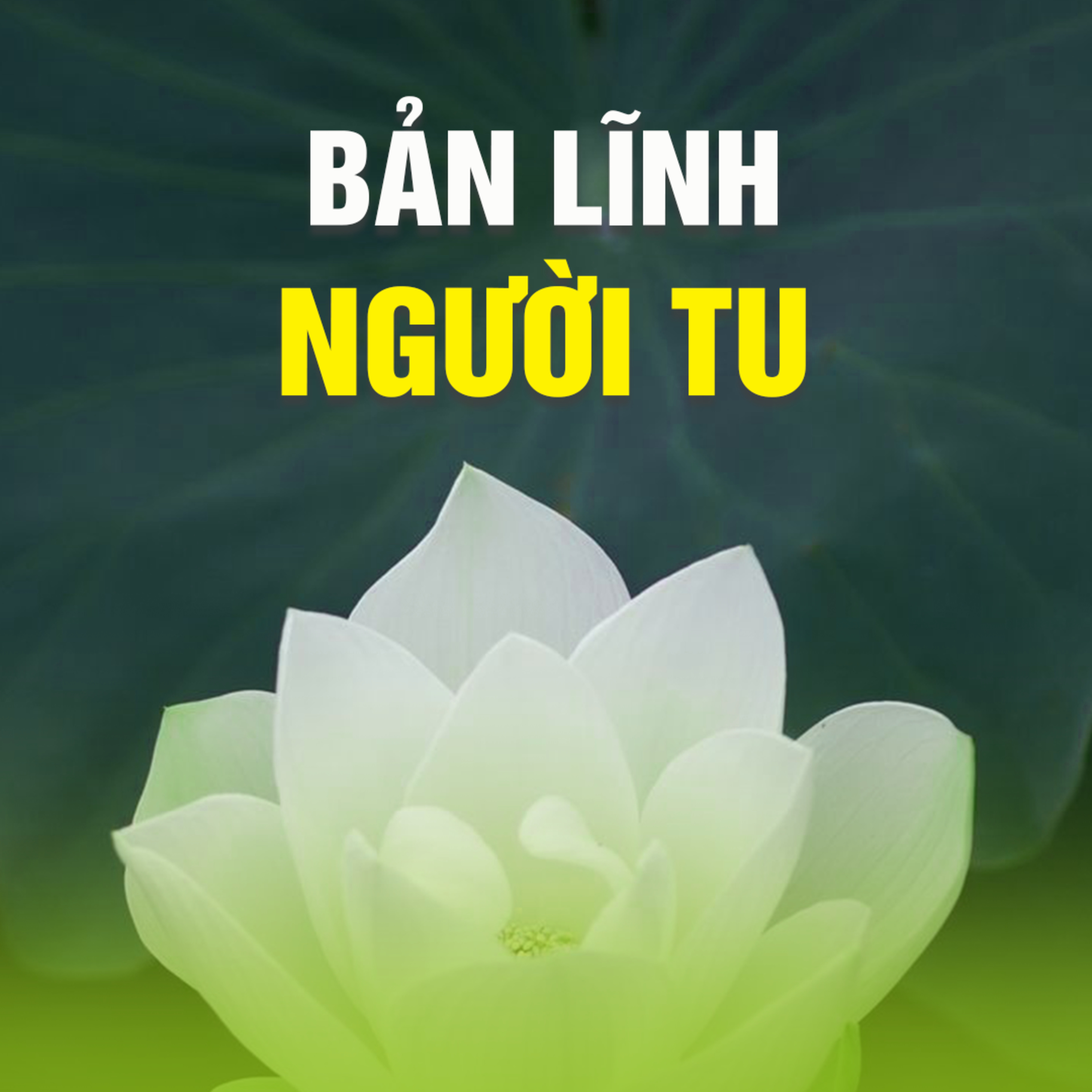 BẢN LĨNH NGƯỜI TU - Trích bài PHÁP SỐ 11 - TT.TS Thích Chân Quang episode artwork
