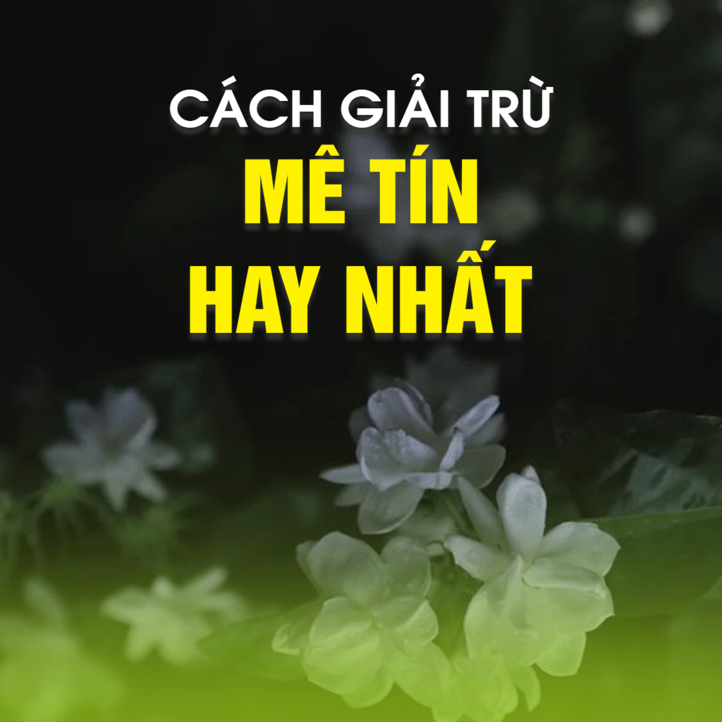 Cách Giải Trừ Mê Tín Hay Nhất - Trích bài Nhân Quả Công Bằng B - TT. TS. Thích Chân Quang episode artwork