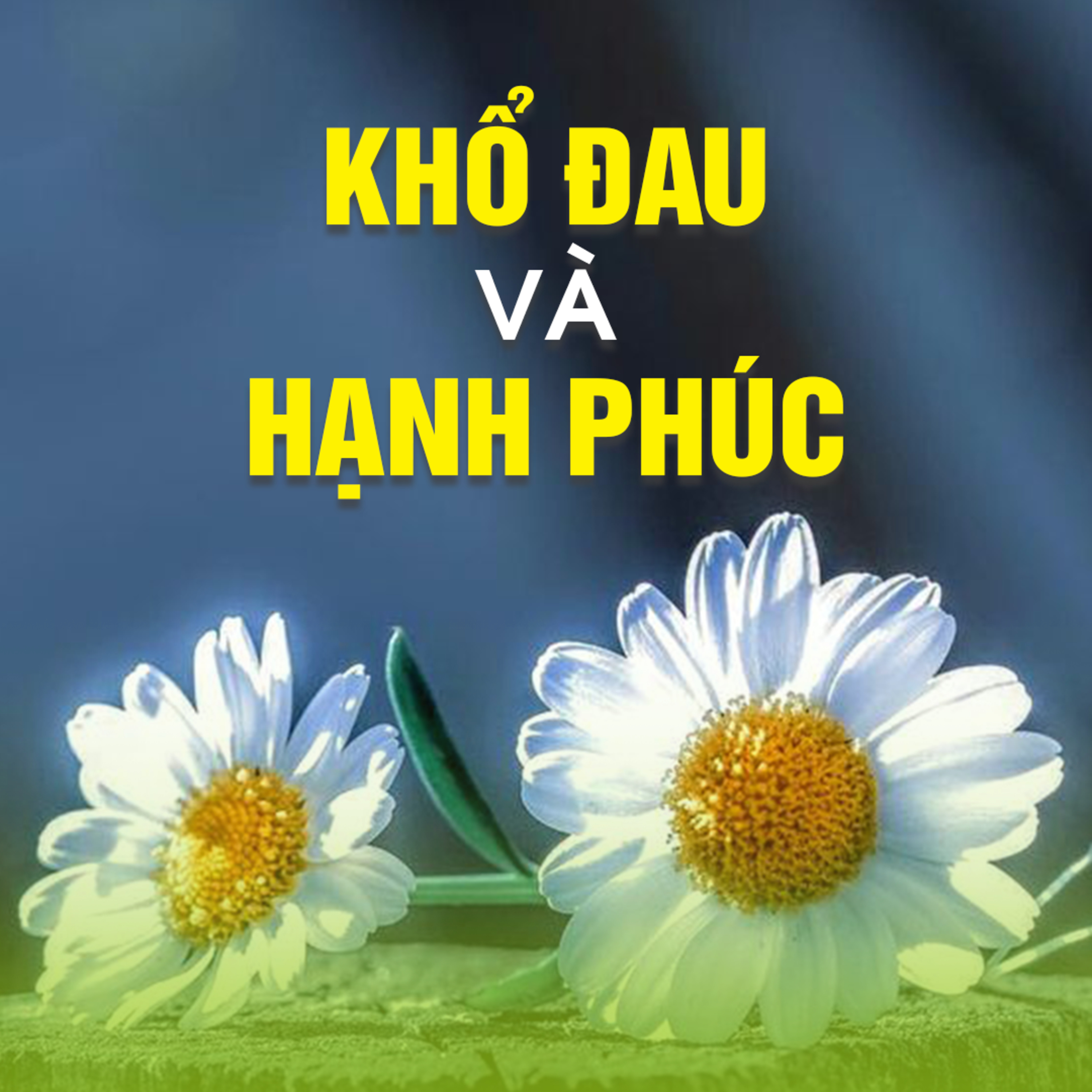 KHỔ ĐAU VÀ HẠNH PHÚC - Trích bài Phía Sau Hạnh Phúc - TT. TS. Thích Chân Quang episode artwork