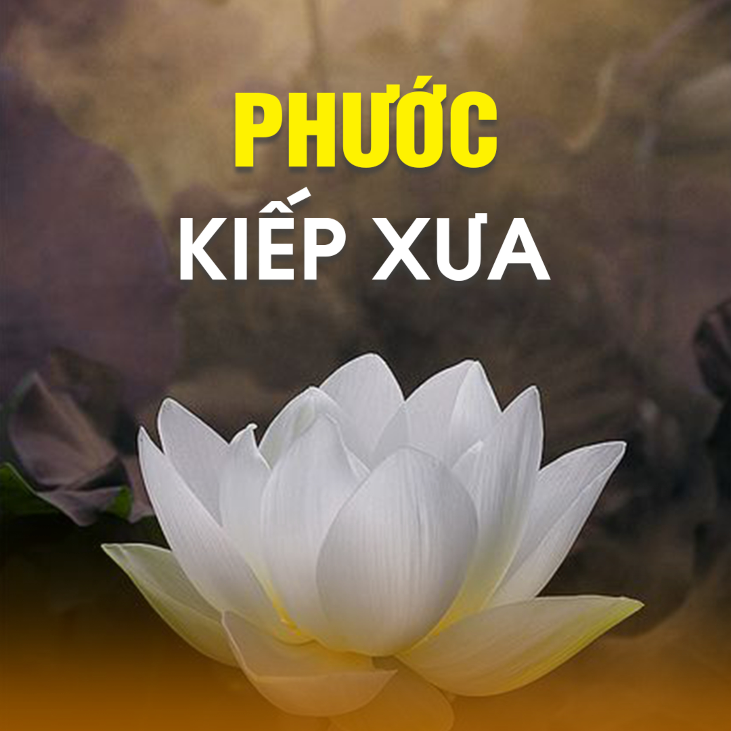 PHƯỚC KIẾP XƯA - Trích bài Nhân Quả Giàu Nghèo - TT. TS. Thích Chân Quang episode artwork