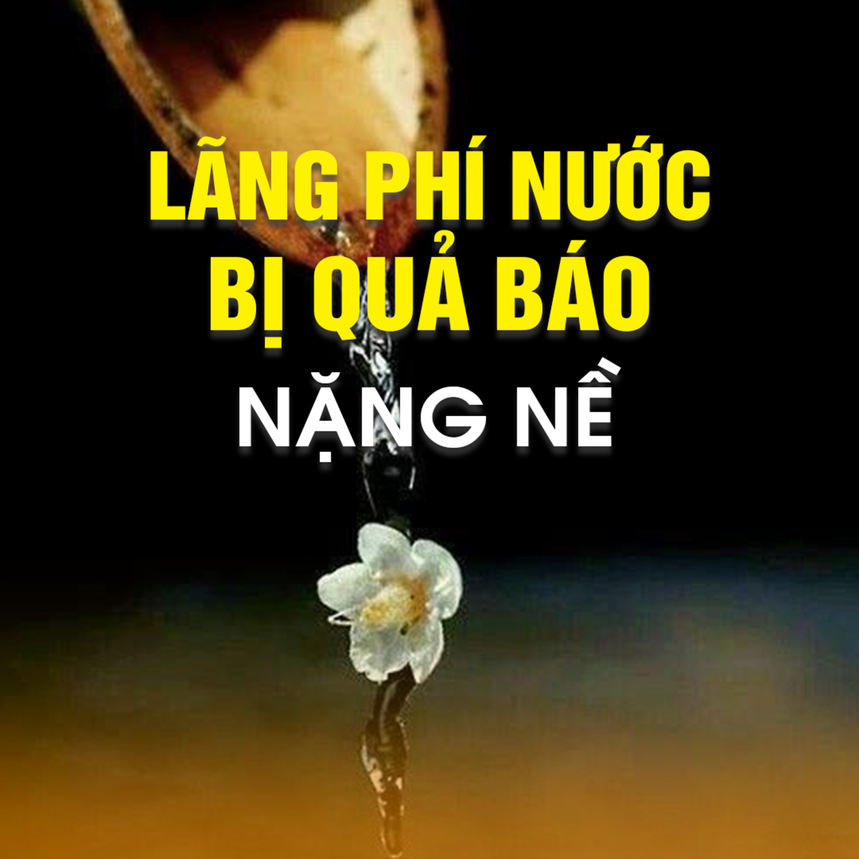 Lãng Phí Nước Bị Quả Báo Nặng Nề - Trích Phúc tội tiềm ẩn - TT. TS. Thích Chân Quang episode artwork