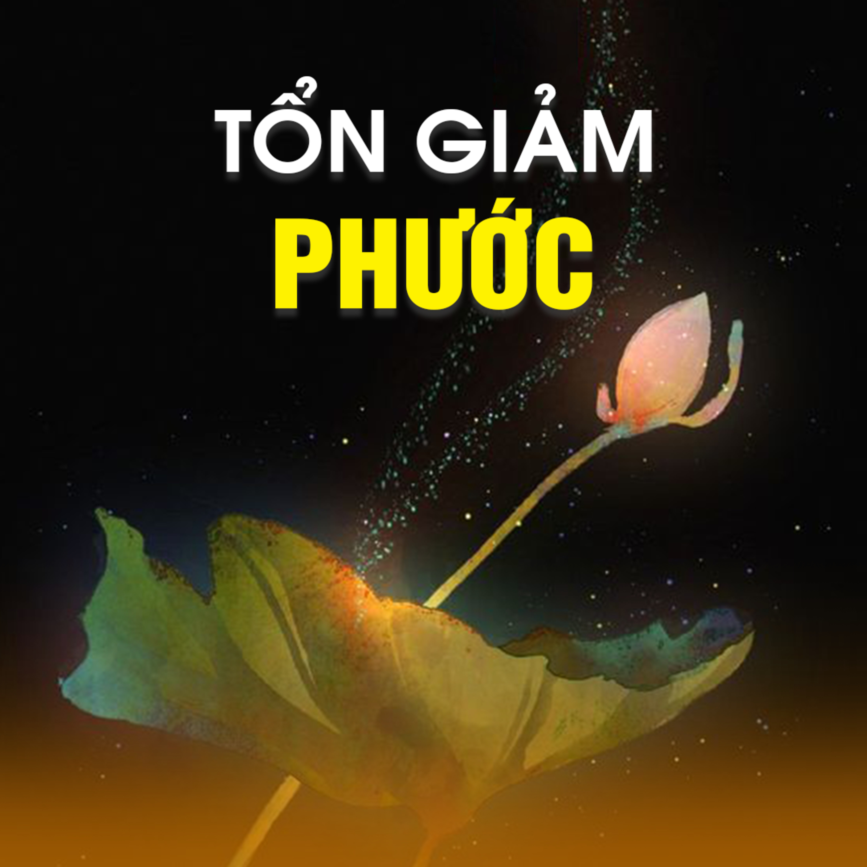 TỔN GIẢM PHƯỚC - Trích bài Nhân Quả Giàu Nghèo - TT. TS. Thích Chân Quang episode artwork