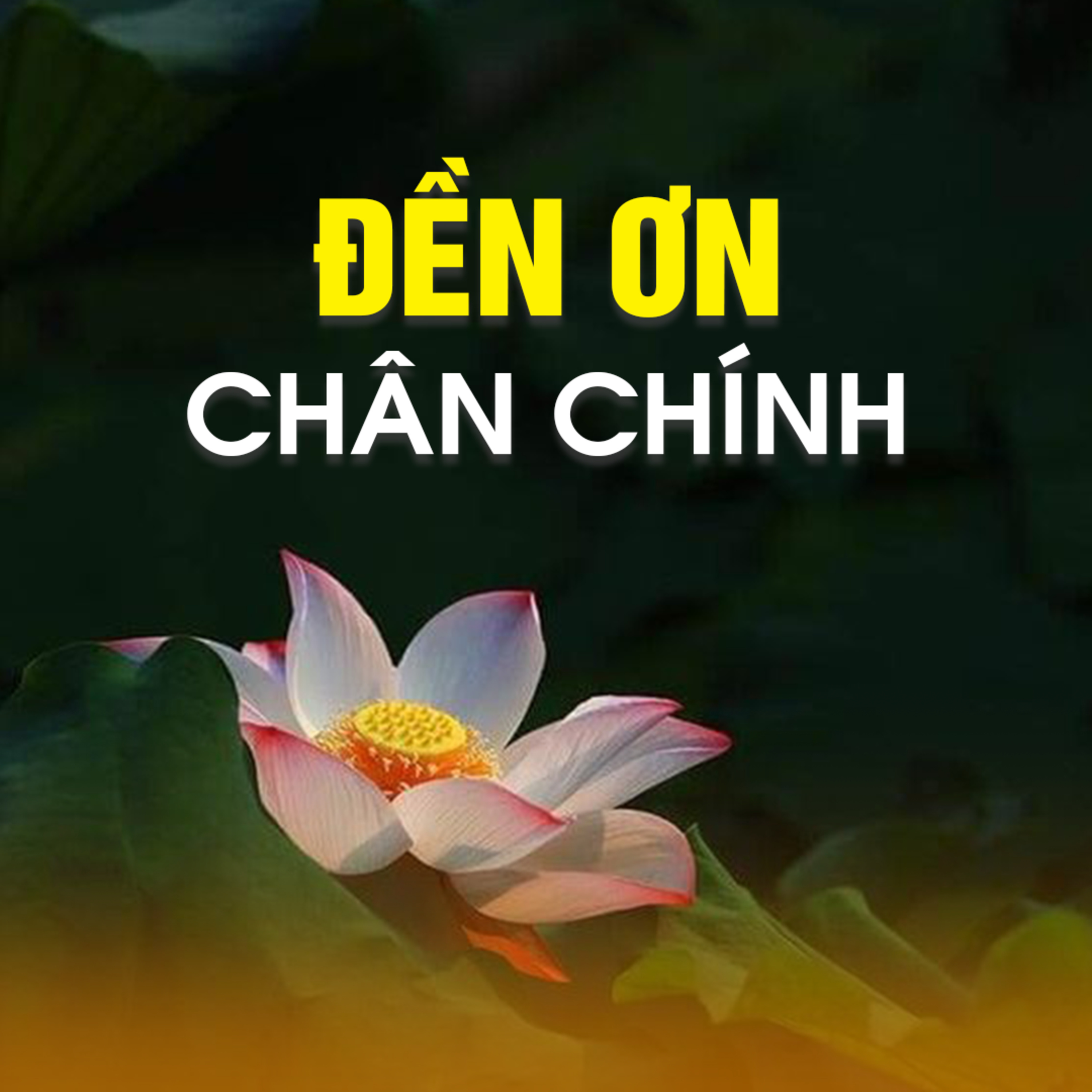 ĐỀN ƠN CHÂN CHÍNH - Trích trong bài Nấu Cơm Thiền - TT. TS. Thích Chân Quang episode artwork