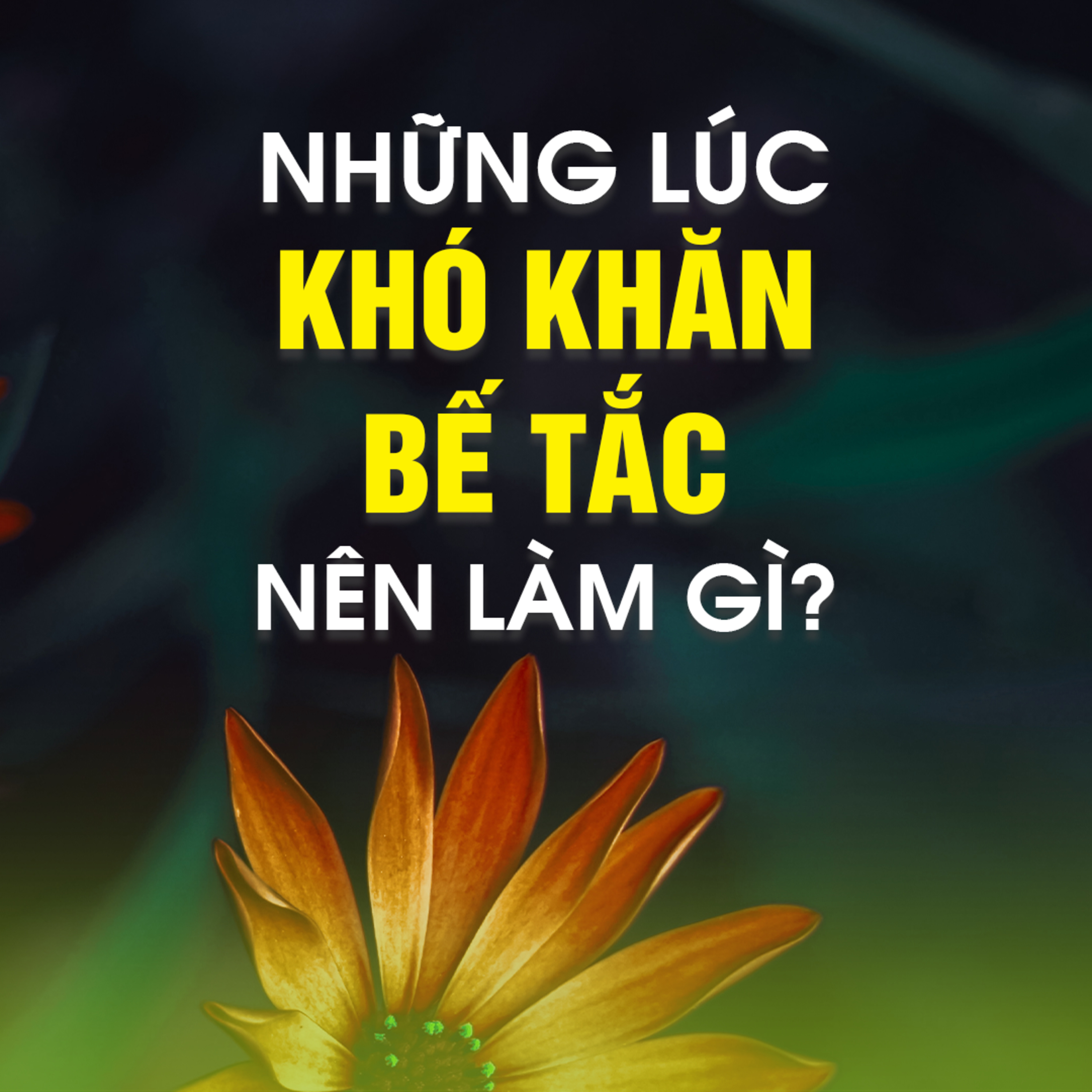 Những Lúc Khó Khăn, Bế Tắc Nên Làm Gì - Trích Xây chùa đúc tượng - TT. TS. Thích Chân Quang