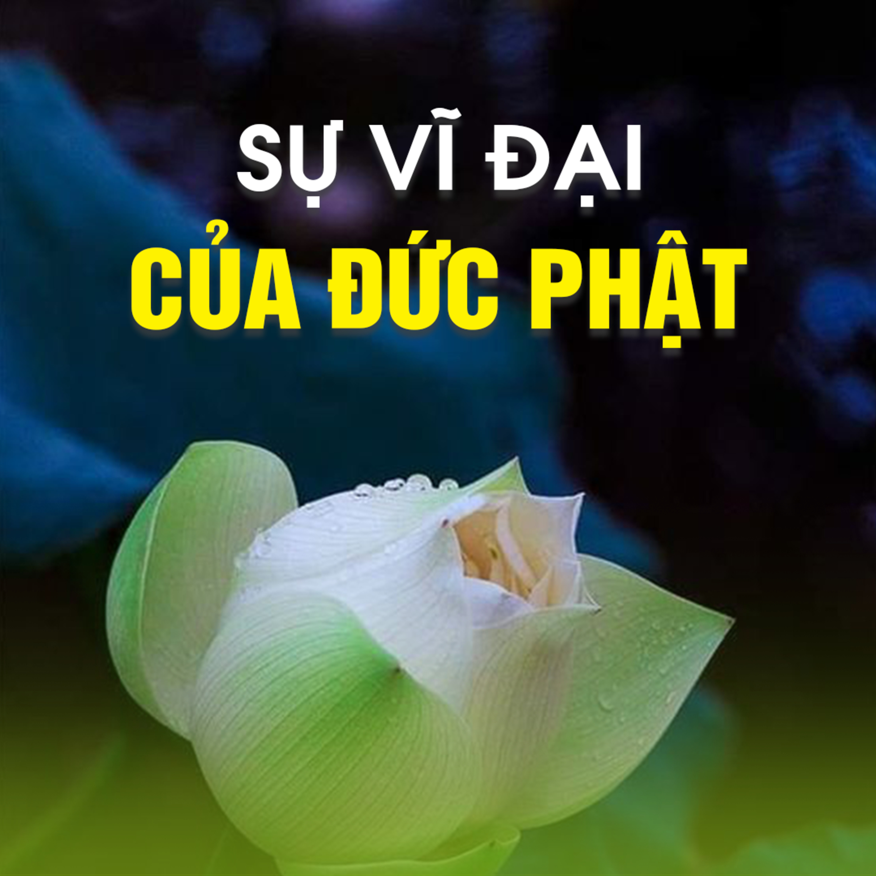 SỰ VĨ ĐẠI CỦA ĐỨC PHẬT - Trích bài Tâm của Phật - Kinh Kim Cang 15 | TT. TS. Thích Chân Quang episode artwork