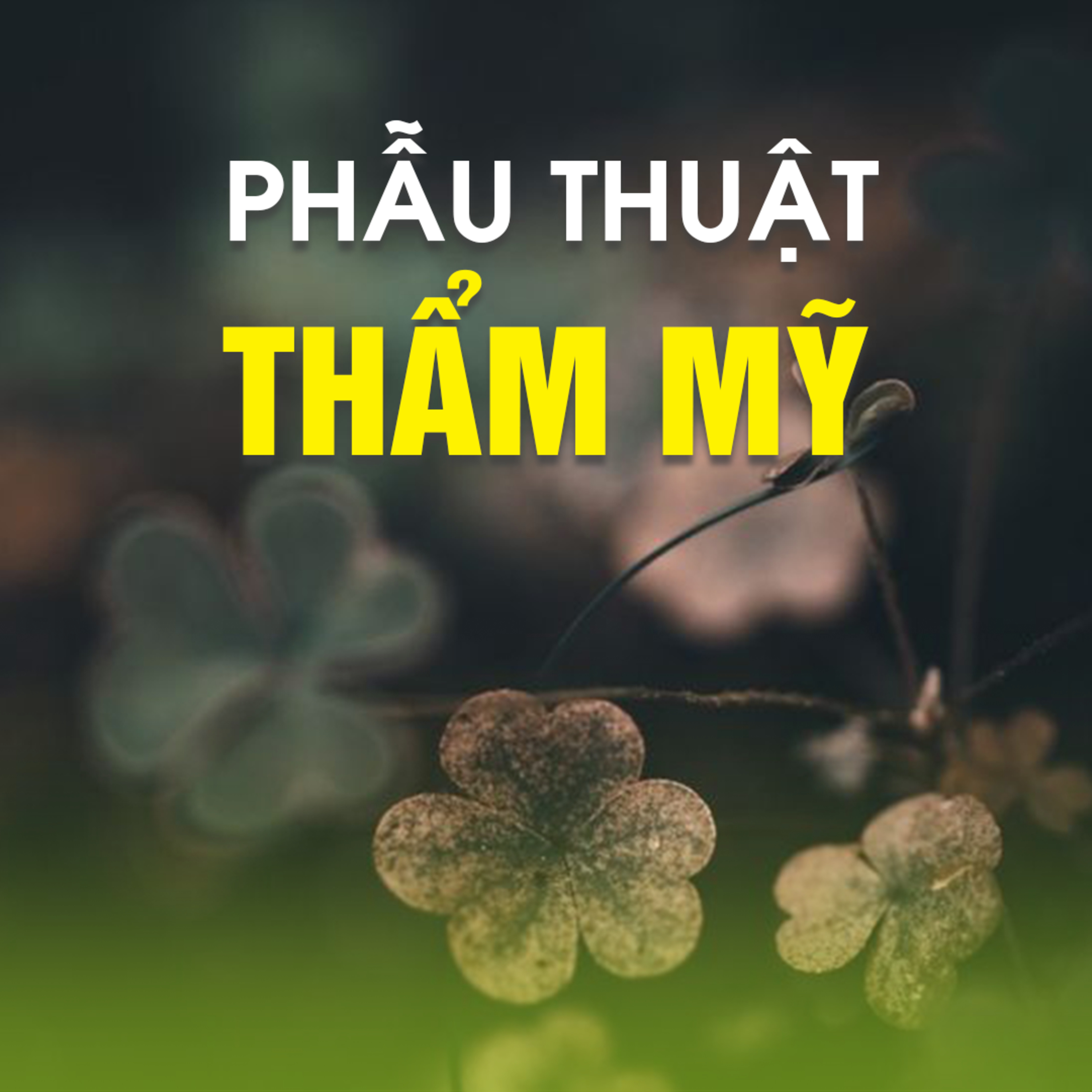 PHẪU THUẬT THẨM MỸ - Trích Giải đáp thắc mắc 12/11/2017 - TT. TS. Thích Chân Quang episode artwork