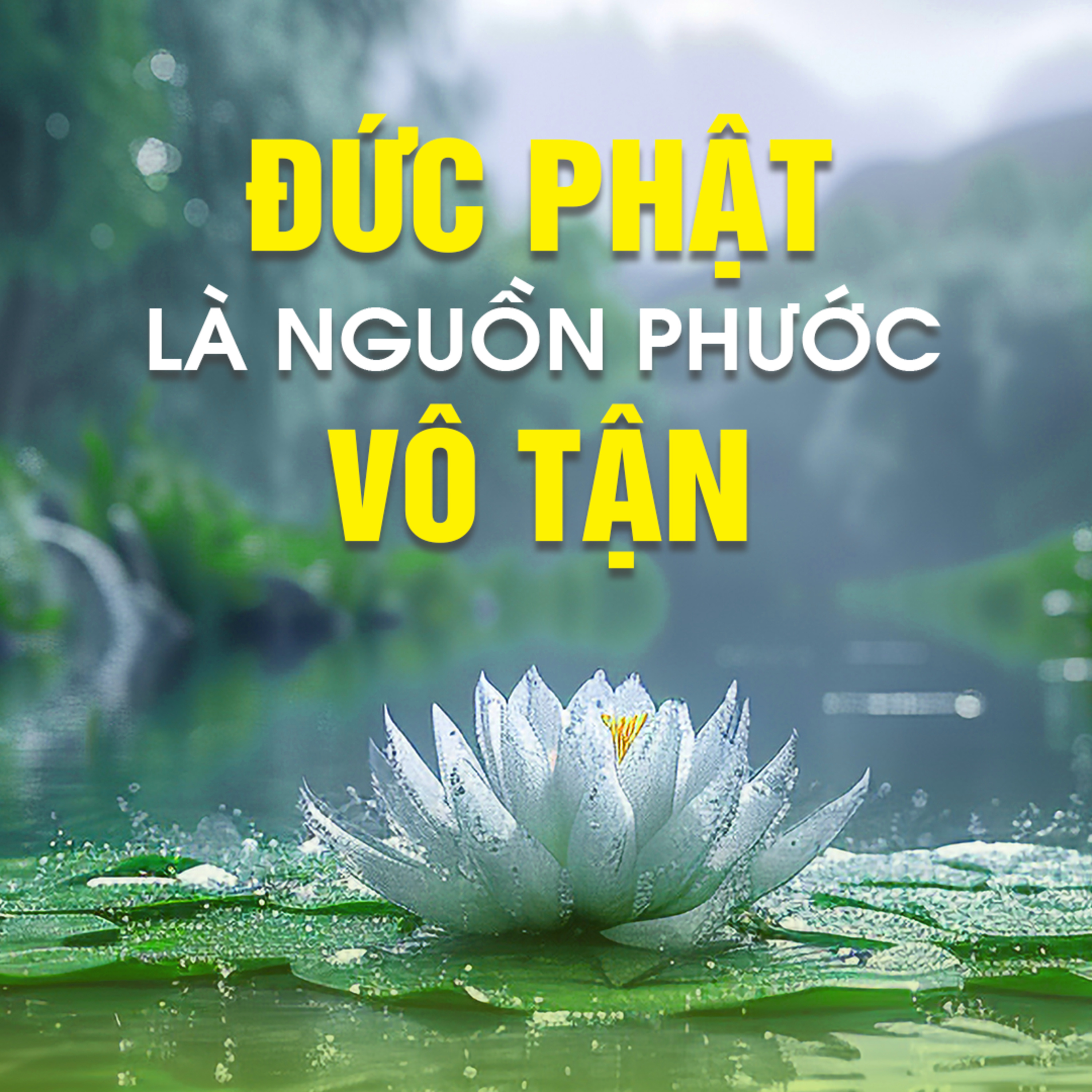 ĐỨC PHẬT LÀ NGUỒN PHƯỚC VÔ TẬN - Trích bài SỨC MẠNH CỦA ĐẠO LÝ - TT.TS.Thích Chân Quang episode artwork