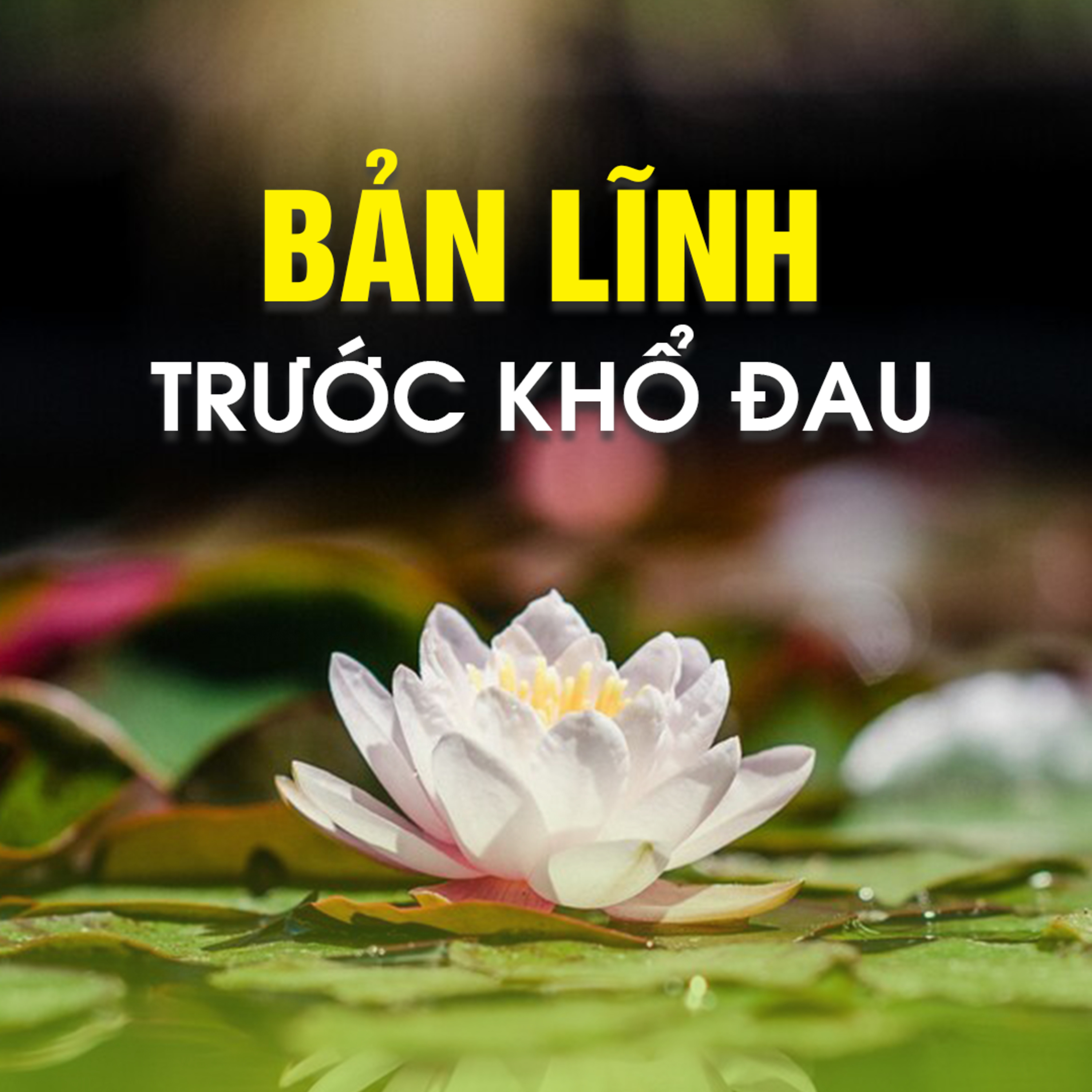 BẢN LĨNH TRƯỚC KHỔ ĐAU - Trích bài Khả Năng Chịu Đựng Nghịch Cảnh - TT. TS. Thích Chân Quang episode artwork
