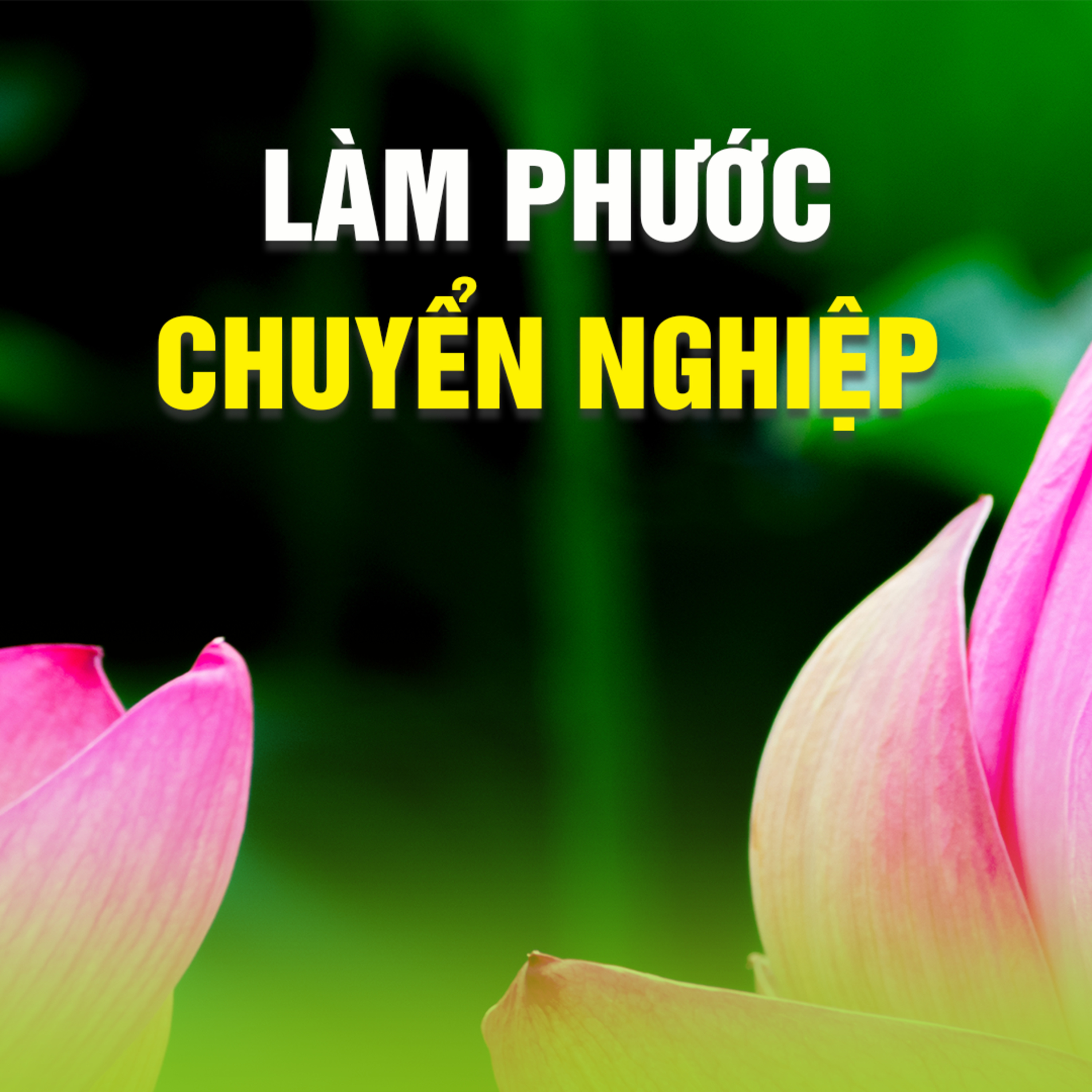 LÀM PHƯỚC CHUYỂN NGHIỆP - Trích bài Còn Phước Đem Theo - TT. TS. Thích Chân Quang