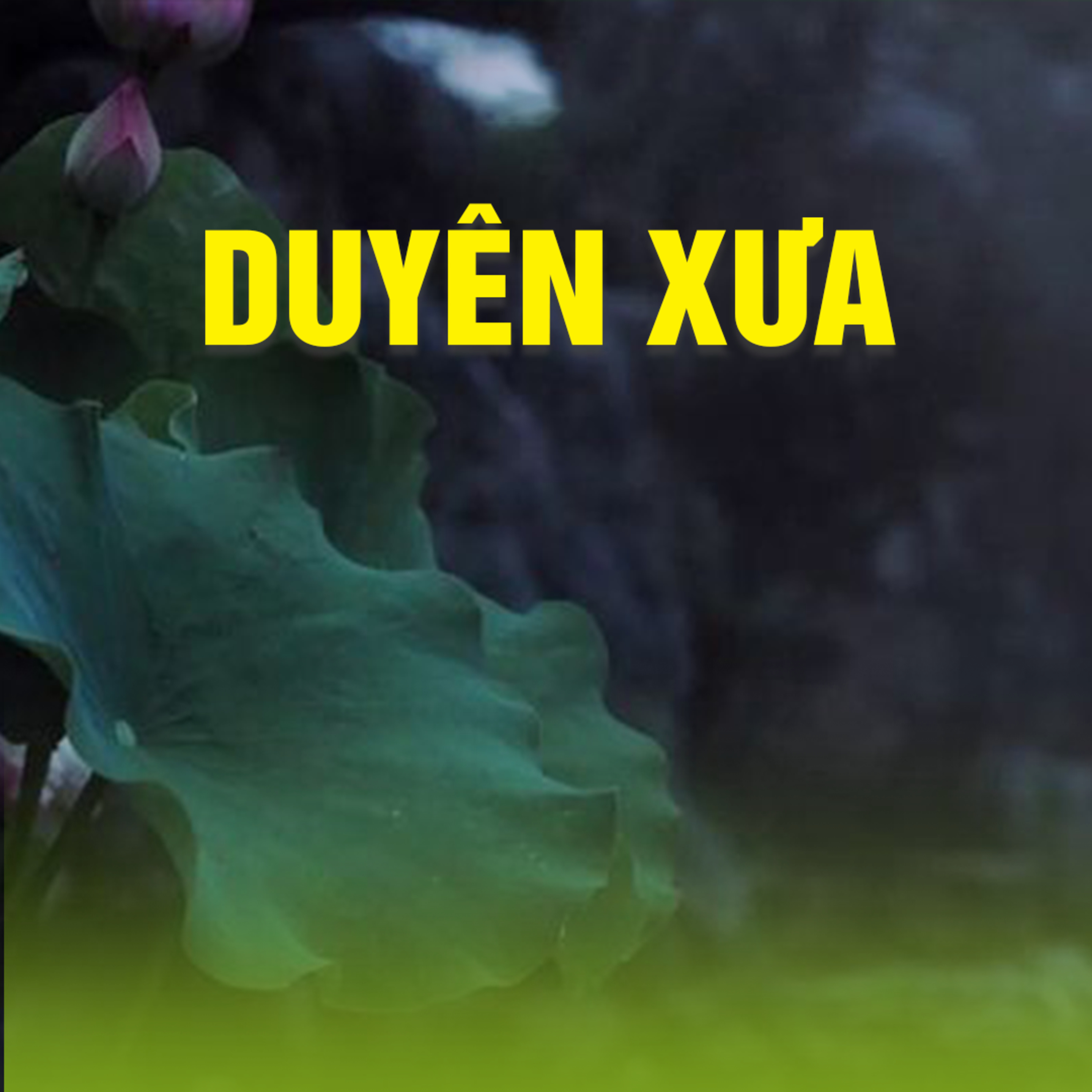 DUYÊN XƯA - Trích bài Định Lượng Tội Phước - TT. TS. Thích Chân Quang episode artwork