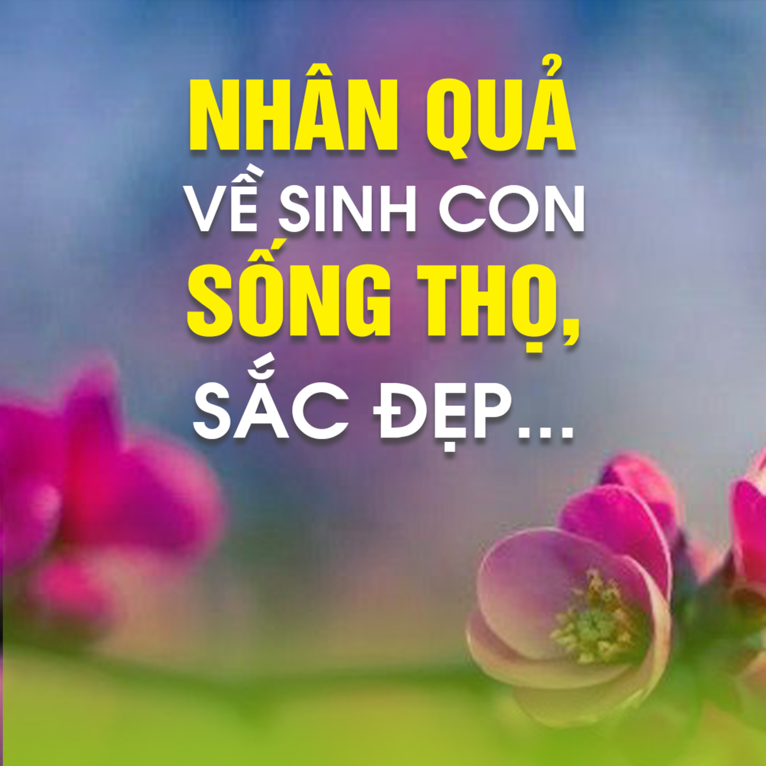 NHÂN QUẢ VỀ SINH CON, SỐNG THỌ, SẮC ĐẸP,... -Trích bài Nhân Quả Công Bằng - TT.TS. Thích Chân Quang episode artwork