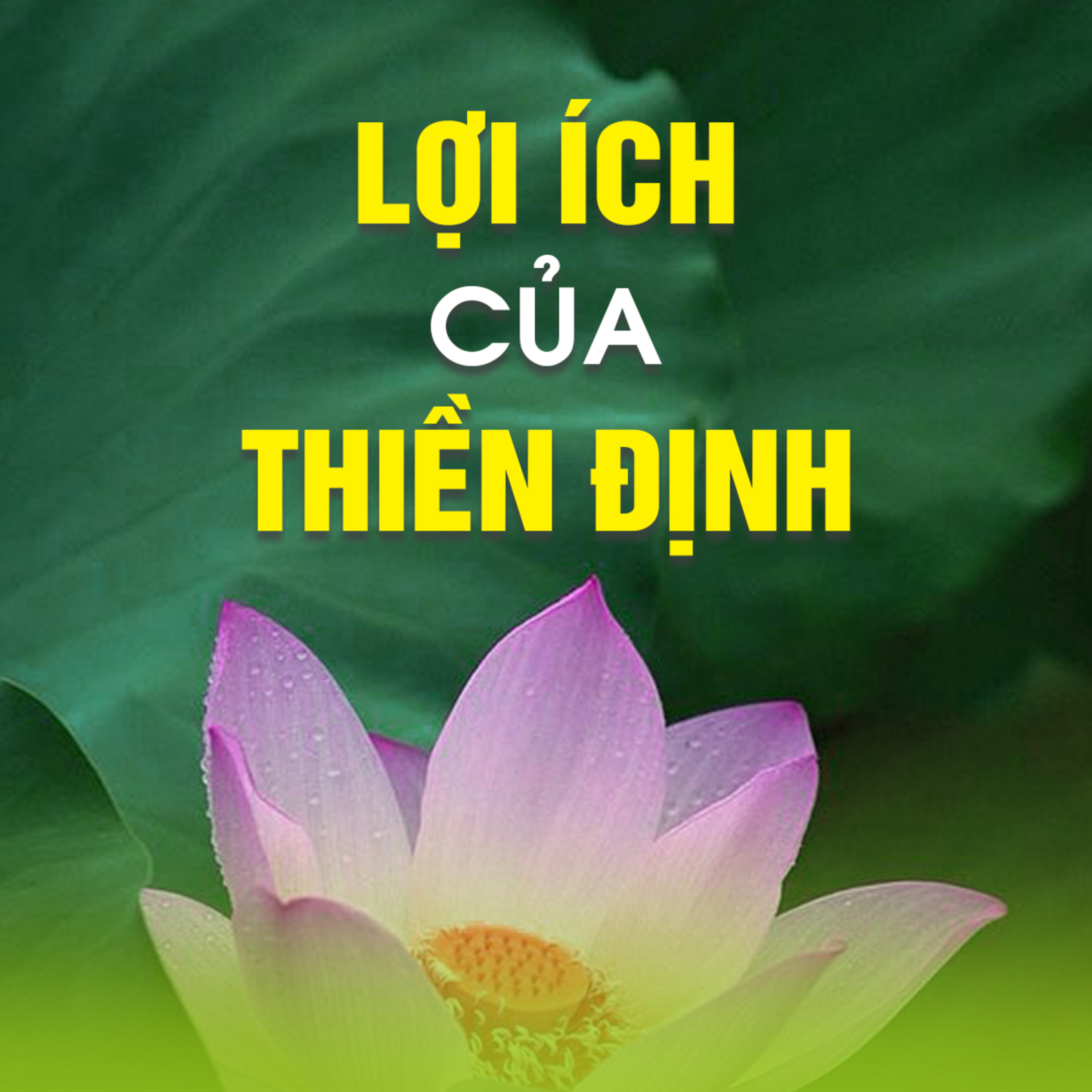 LỢI ÍCH CỦA THIỀN ĐỊNH | TT. TS. Thích Chân Quang episode artwork