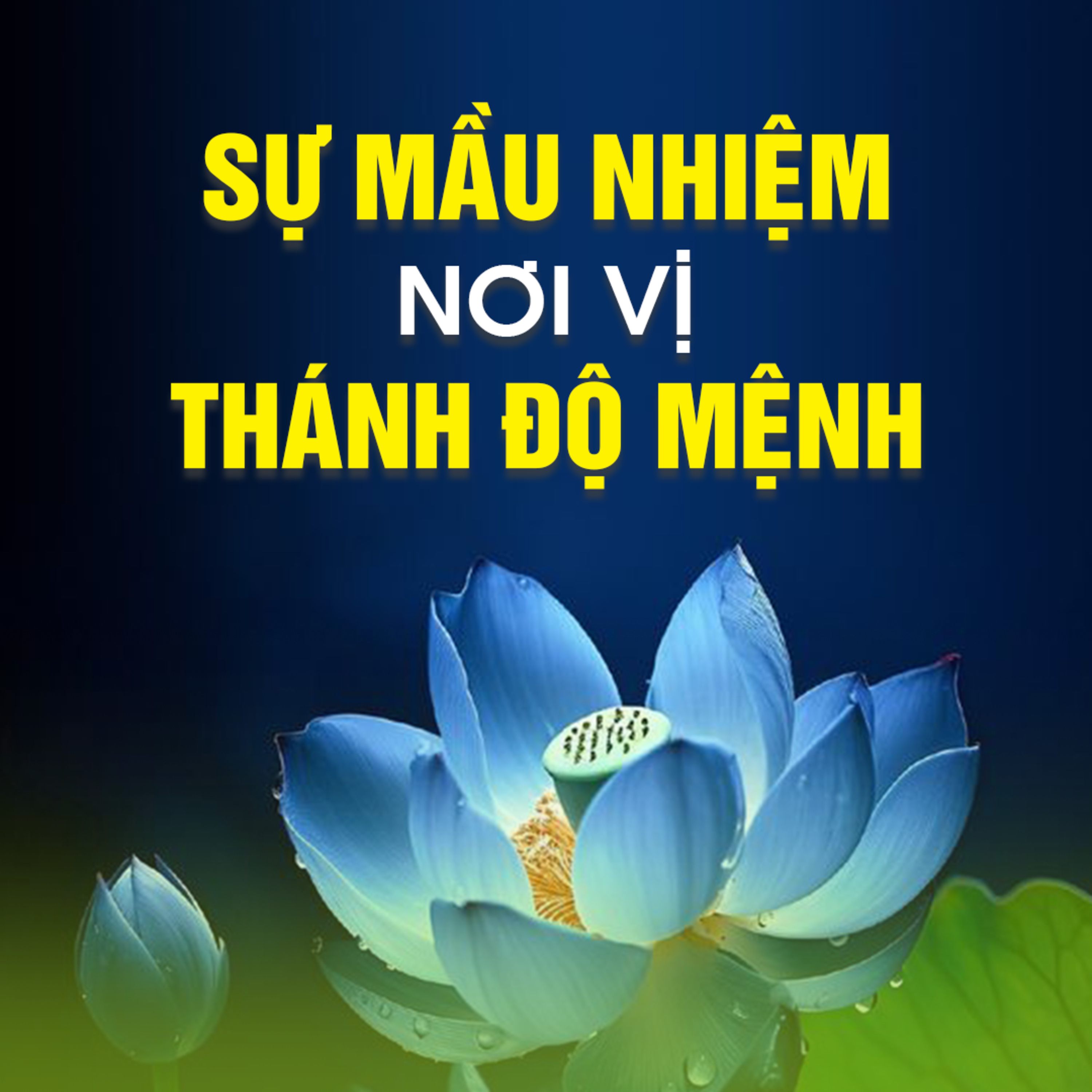 SỰ MẦU NHIỆM NƠI VỊ THÁNH ĐỘ MỆNH - Trích bài Luyện Trí Thông Minh - TT. TS. Thích Chân Quang episode artwork