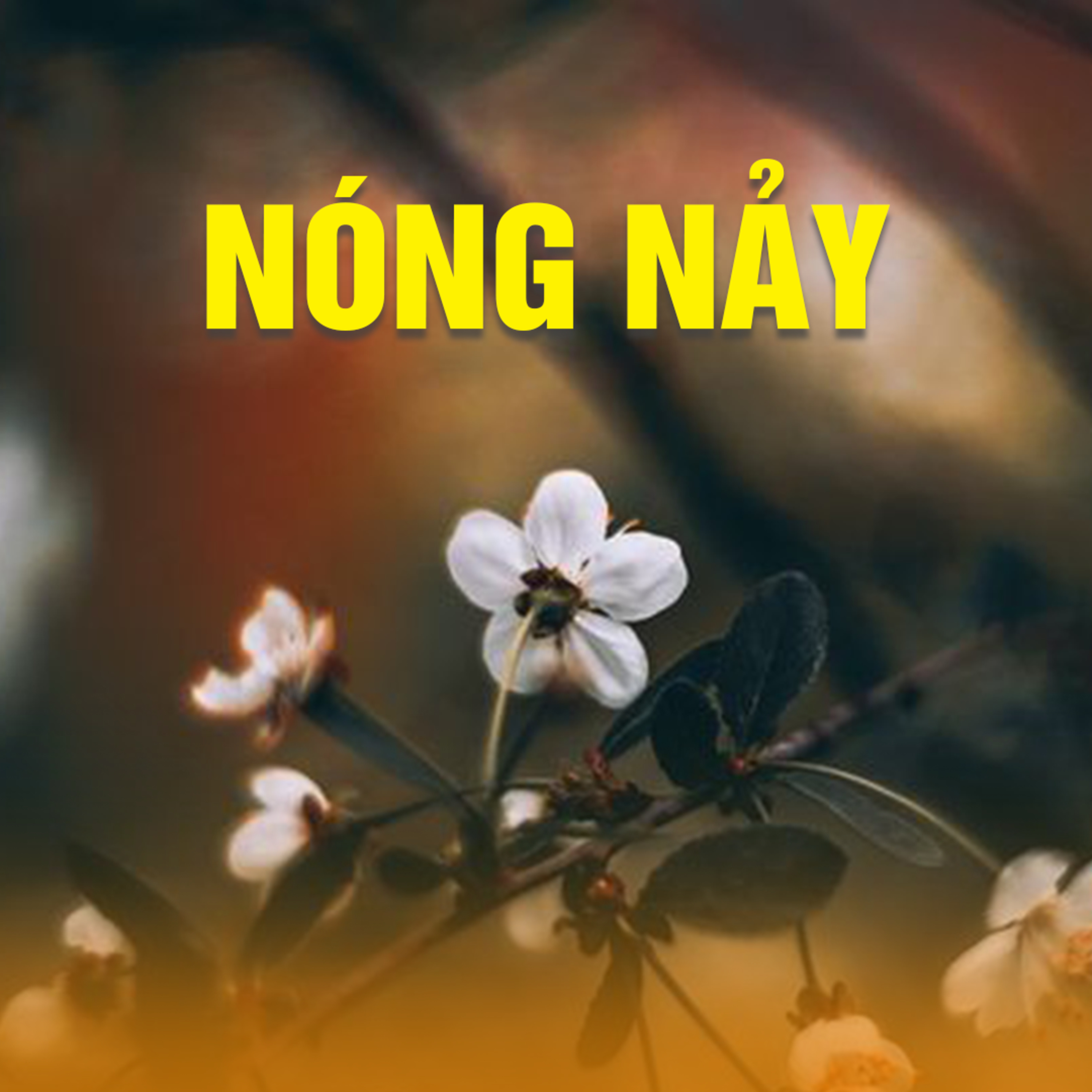 NÓNG NẢY | TT. TS. Thích Chân Quang episode artwork