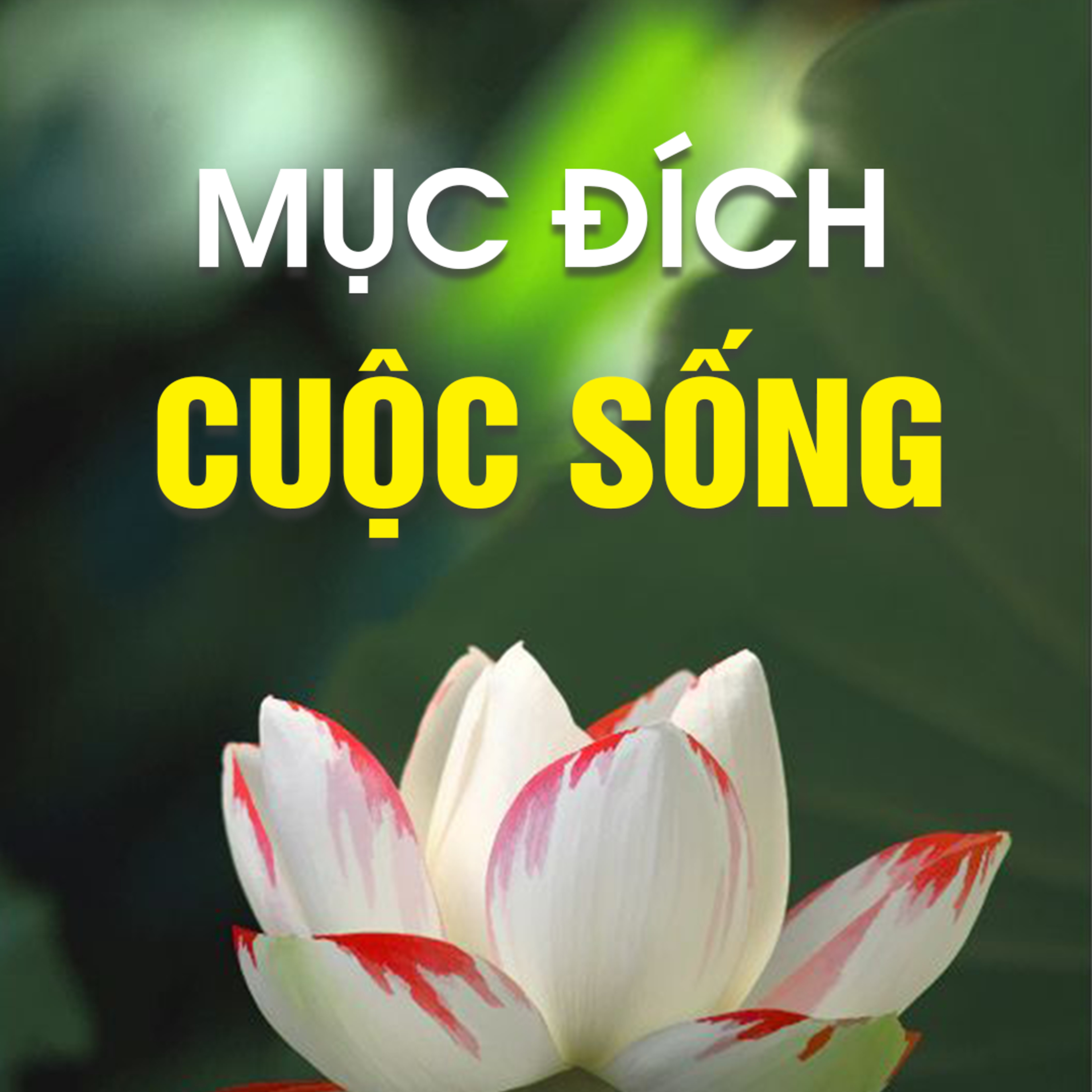 MỤC ĐÍCH SỐNG | TT. TS. Thích Chân Quang episode artwork