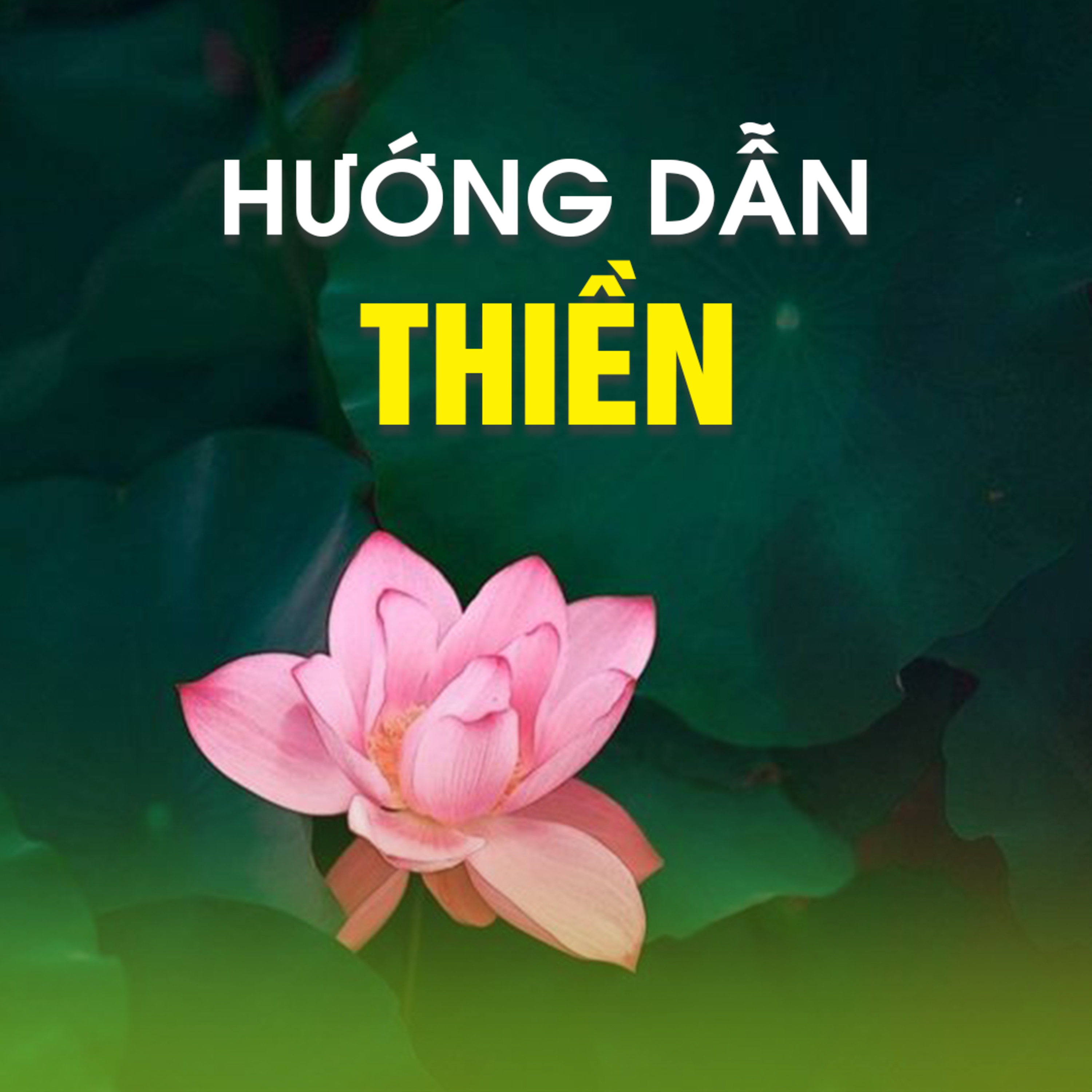 HƯỚNG DẪN THIỀN | TT. TS. Thích Chân Quang  episode artwork