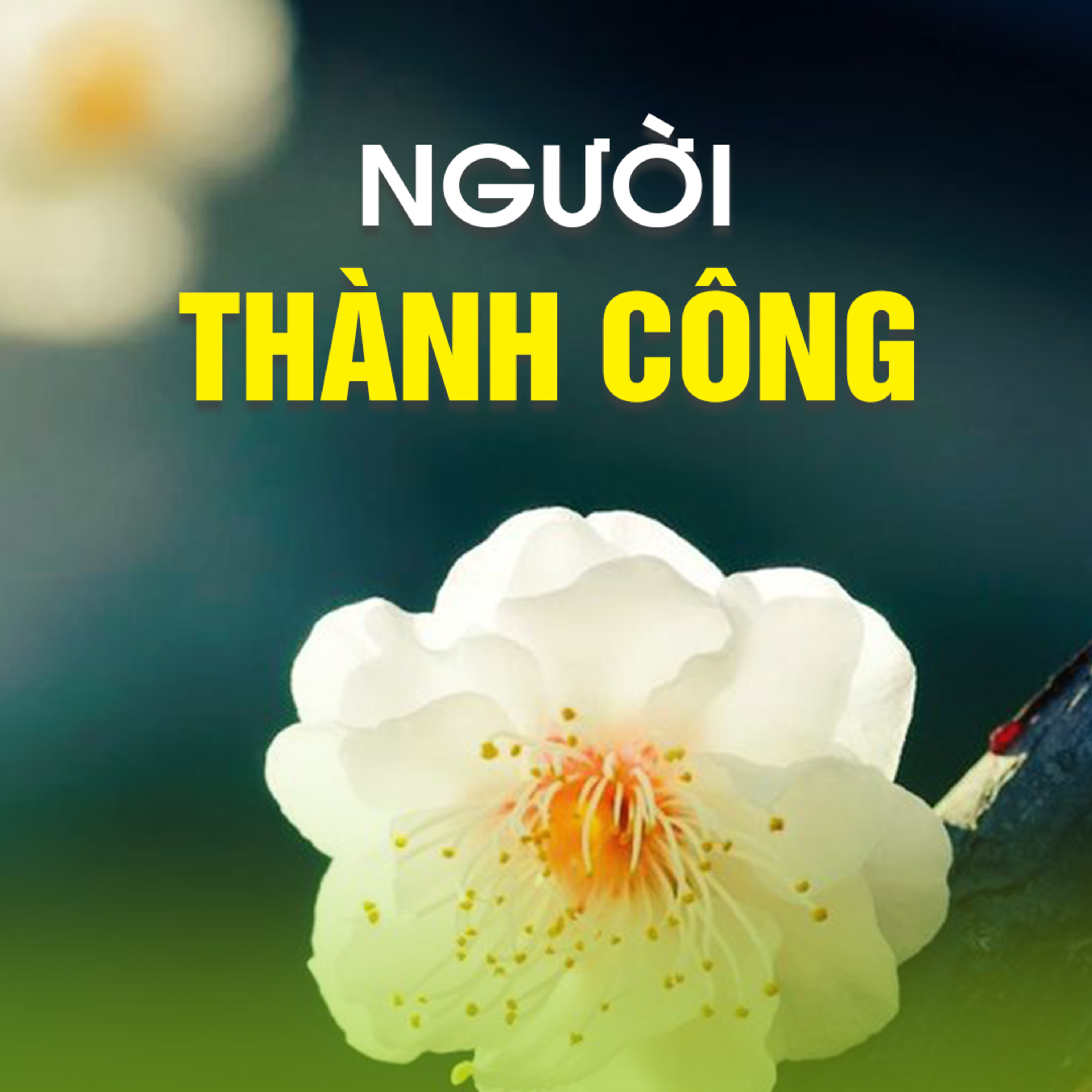 NGƯỜI THÀNH CÔNG | TT. TS. Thích Chân Quang episode artwork