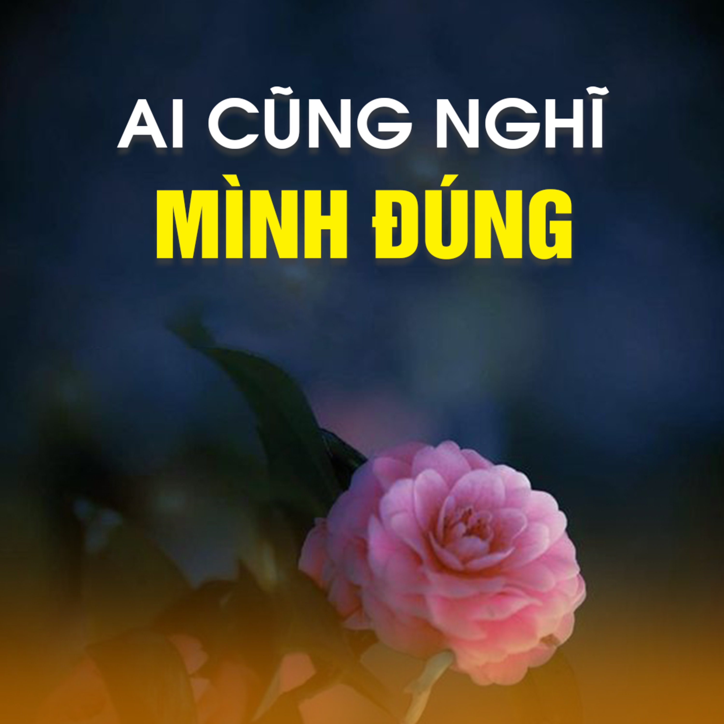 AI CŨNG NGHĨ MÌNH ĐÚNG | TT. TS. Thích Chân Quang episode artwork