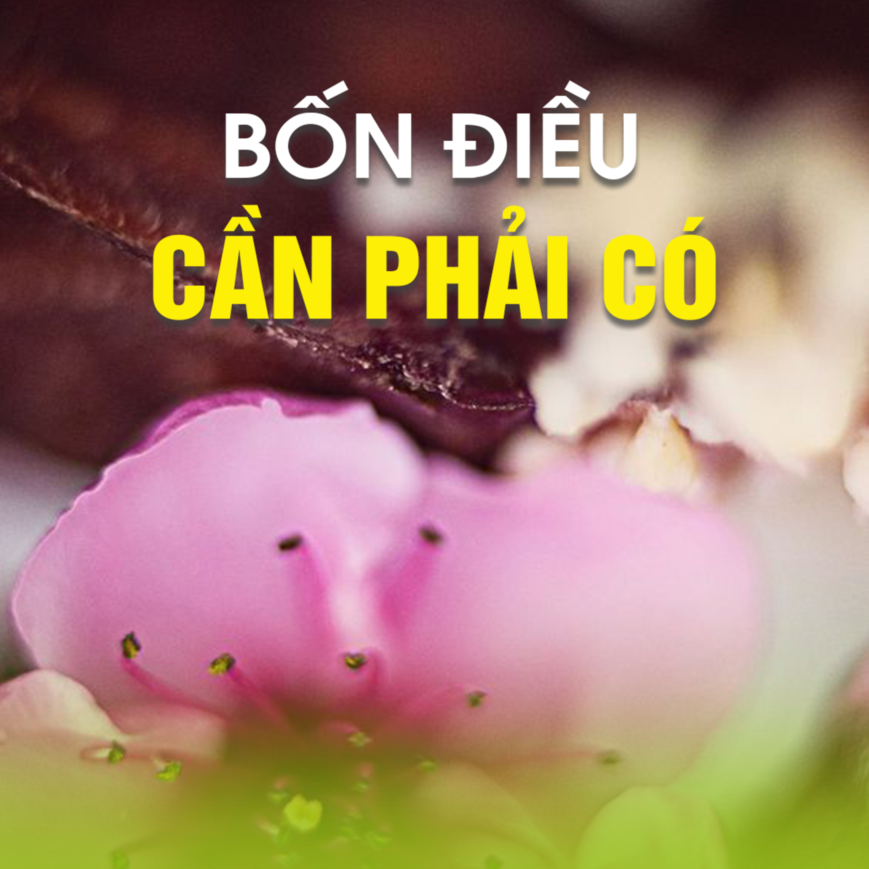 BỐN ĐIỀU CẦN PHẢI CÓ | TT. TS. Thích Chân Quang episode artwork