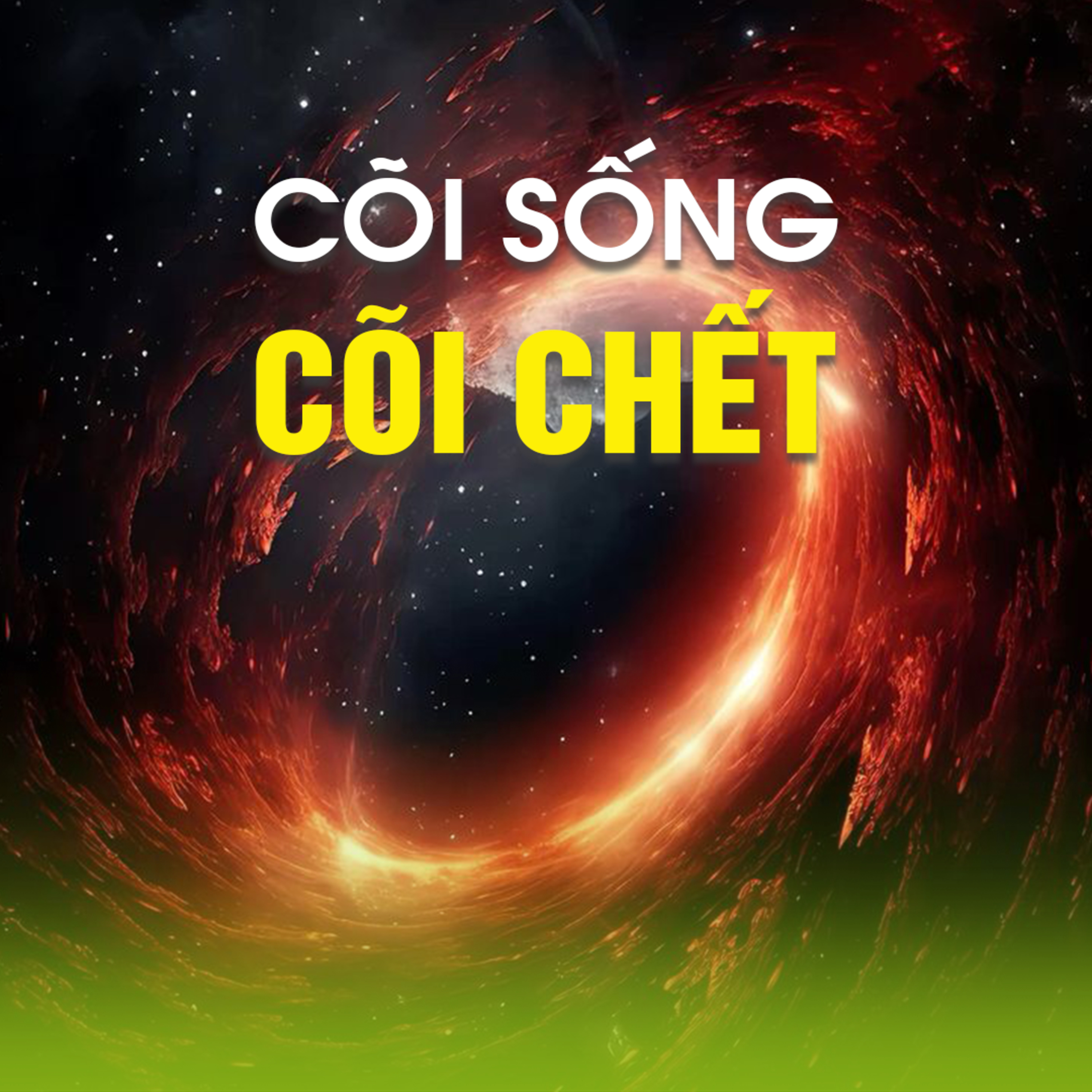 CÕI SỐNG CÕI CHẾT (ĐẠI LỄ VU LAN 2017 TẠI PHÚC AN VIÊN) | TT. TS. Thích Chân Quang episode artwork