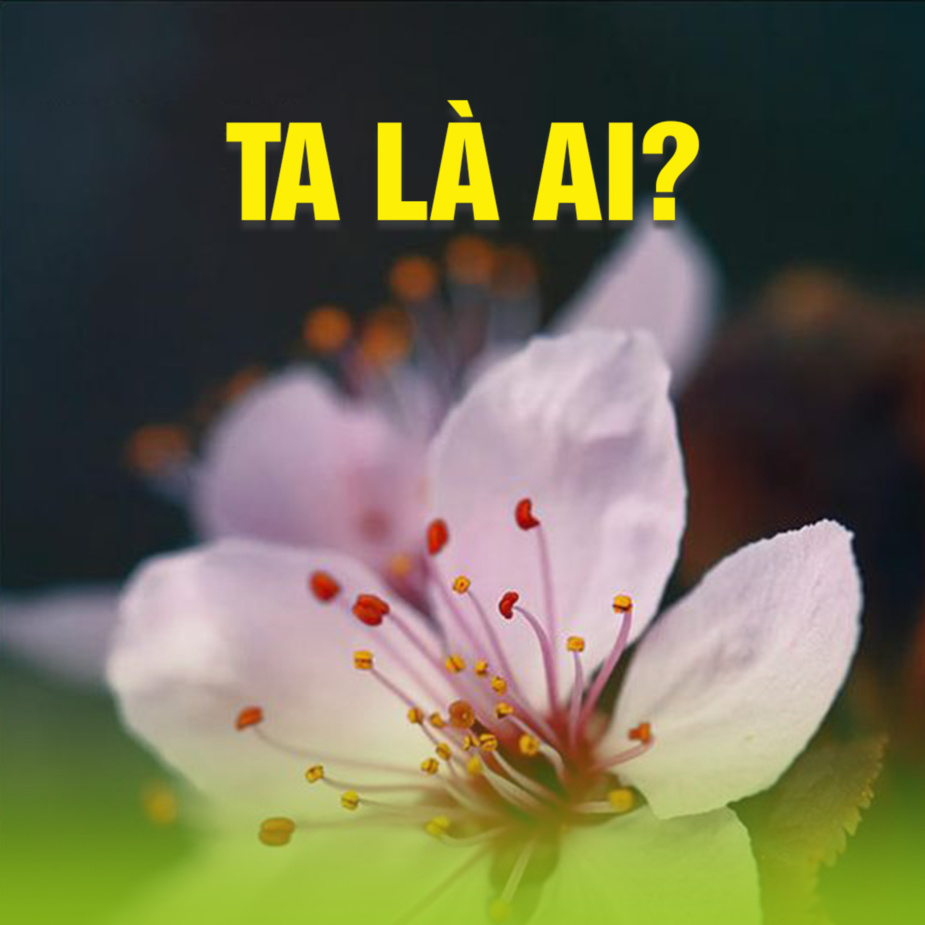 TA LÀ AI ? | TT. TS. Thích Chân Quang episode artwork