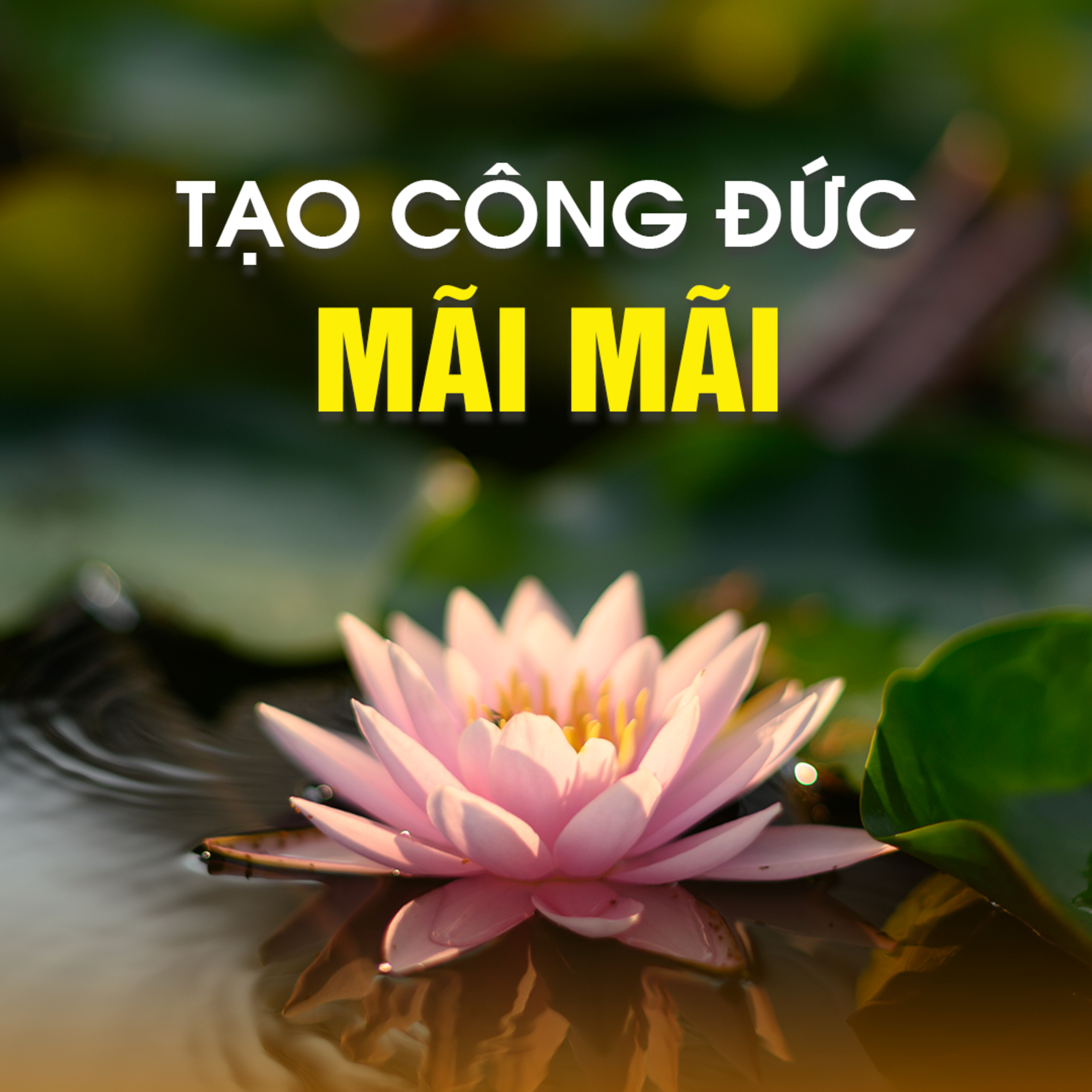 TẠO CÔNG ĐỨC MÃI MÃI | TT. TS. Thích Chân Quang  episode artwork