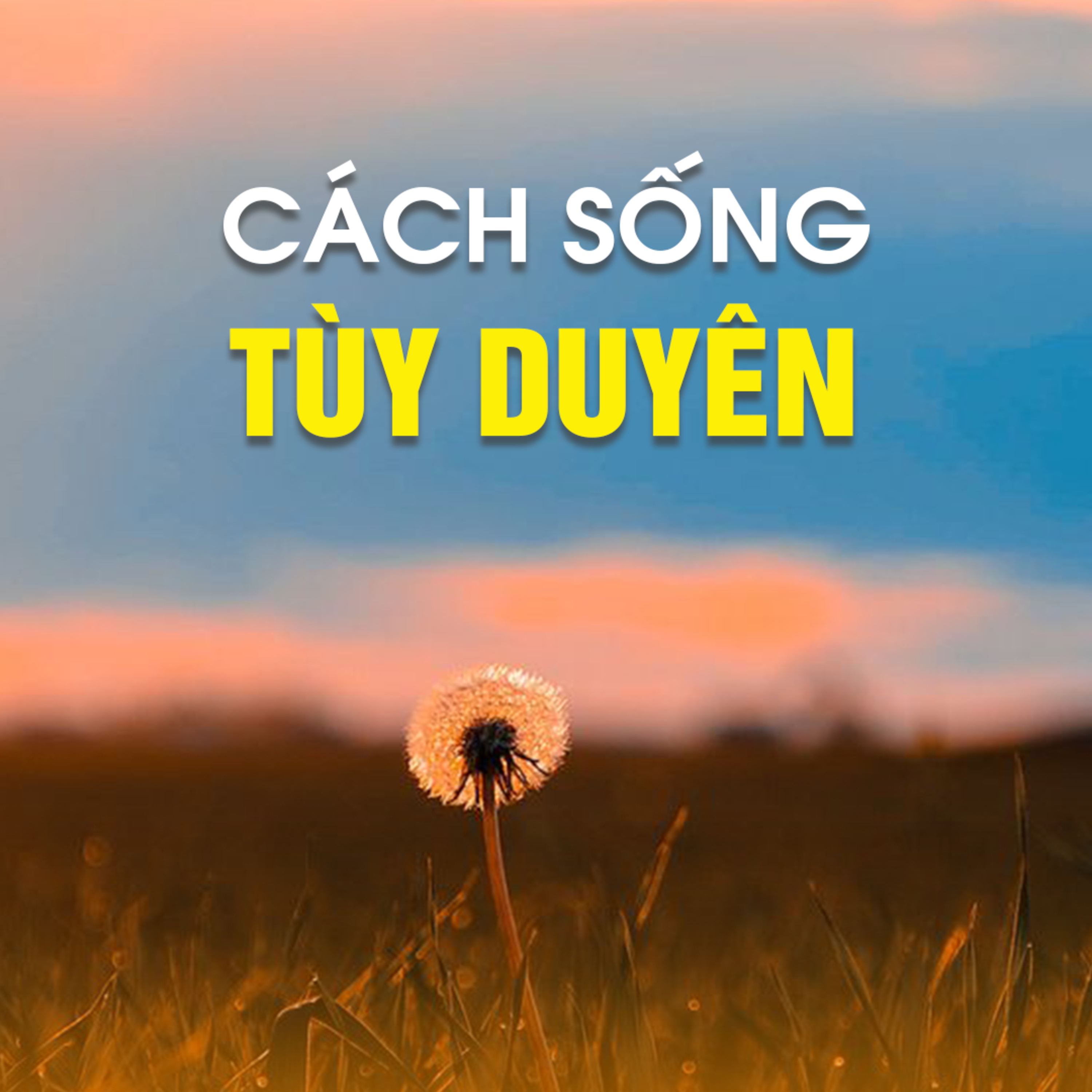 CÁCH SỐNG TÙY DUYÊN | TT. TS. Thích Chân Quang episode artwork