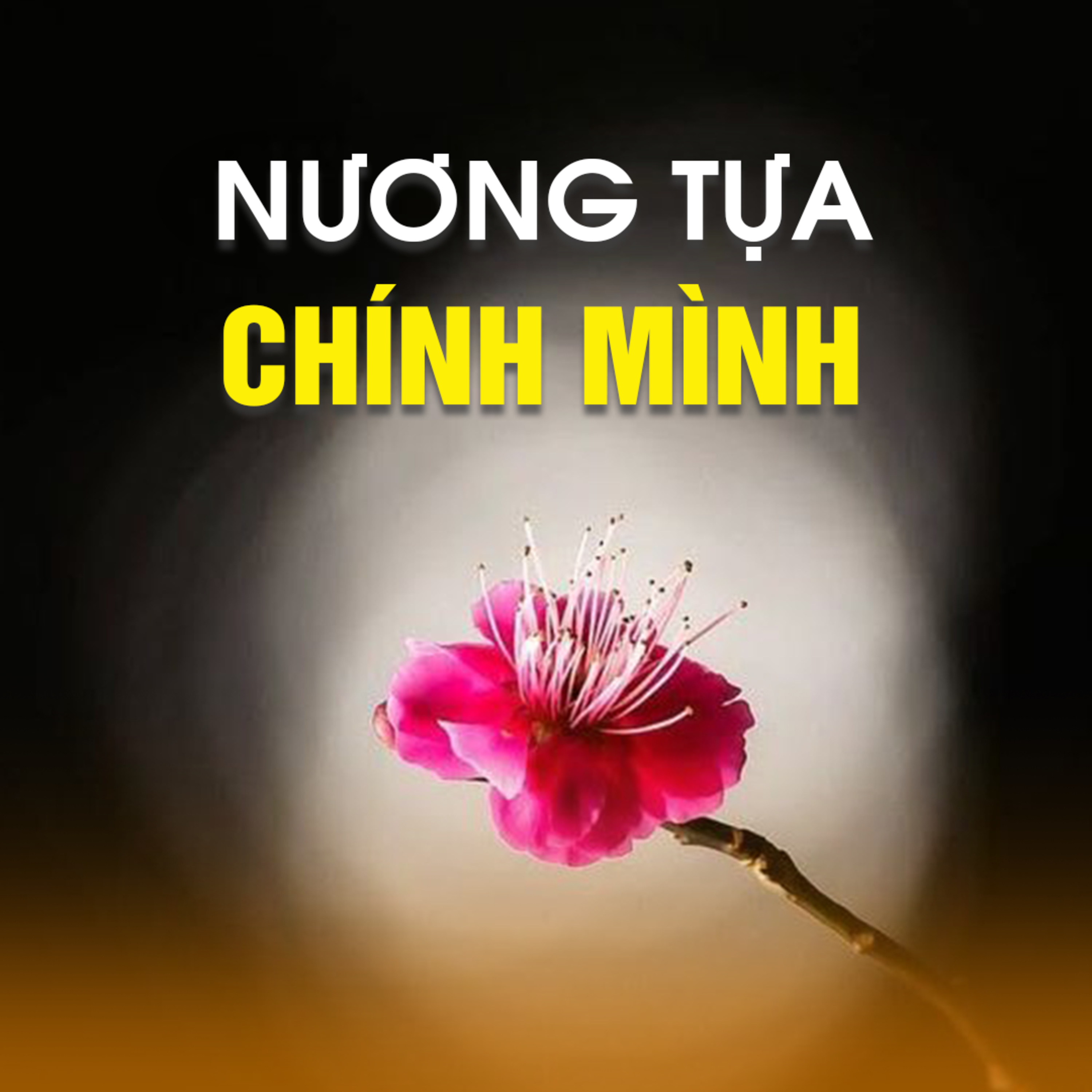 NƯƠNG TỰA CHÍNH MÌNH - Pháp cú 49 | TT. TS. Thích Chân Quang