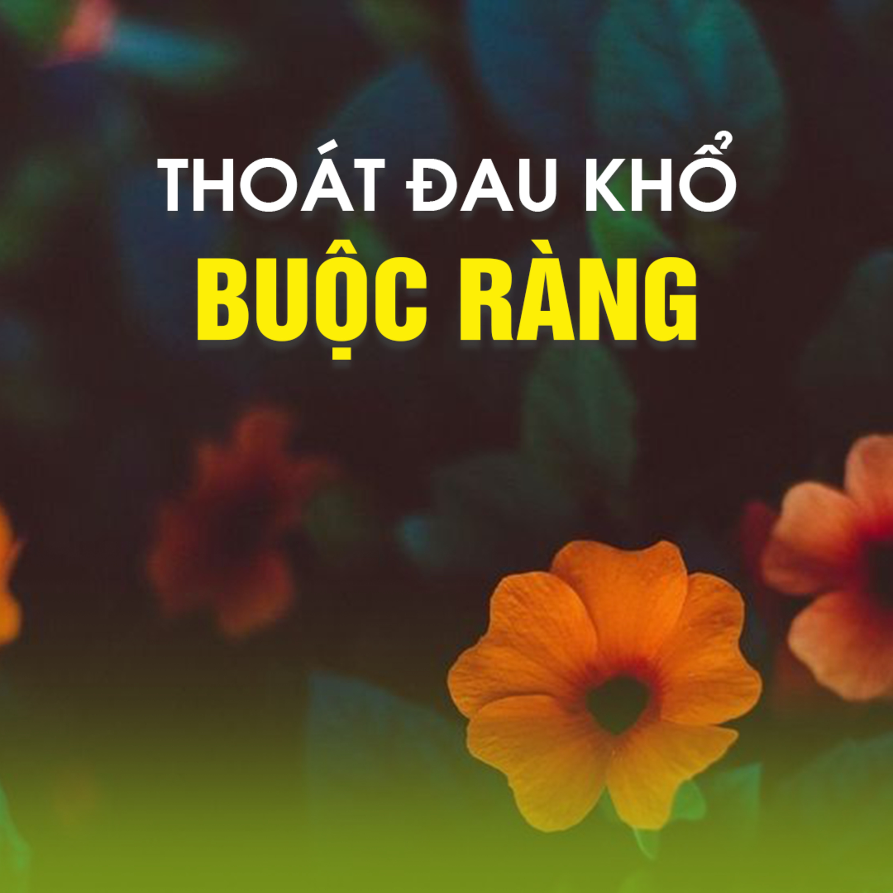 THOÁT ĐAU KHỔ BUỘC RÀNG - Pháp cú 74 - TT. TS. Thích Chân Quang episode artwork