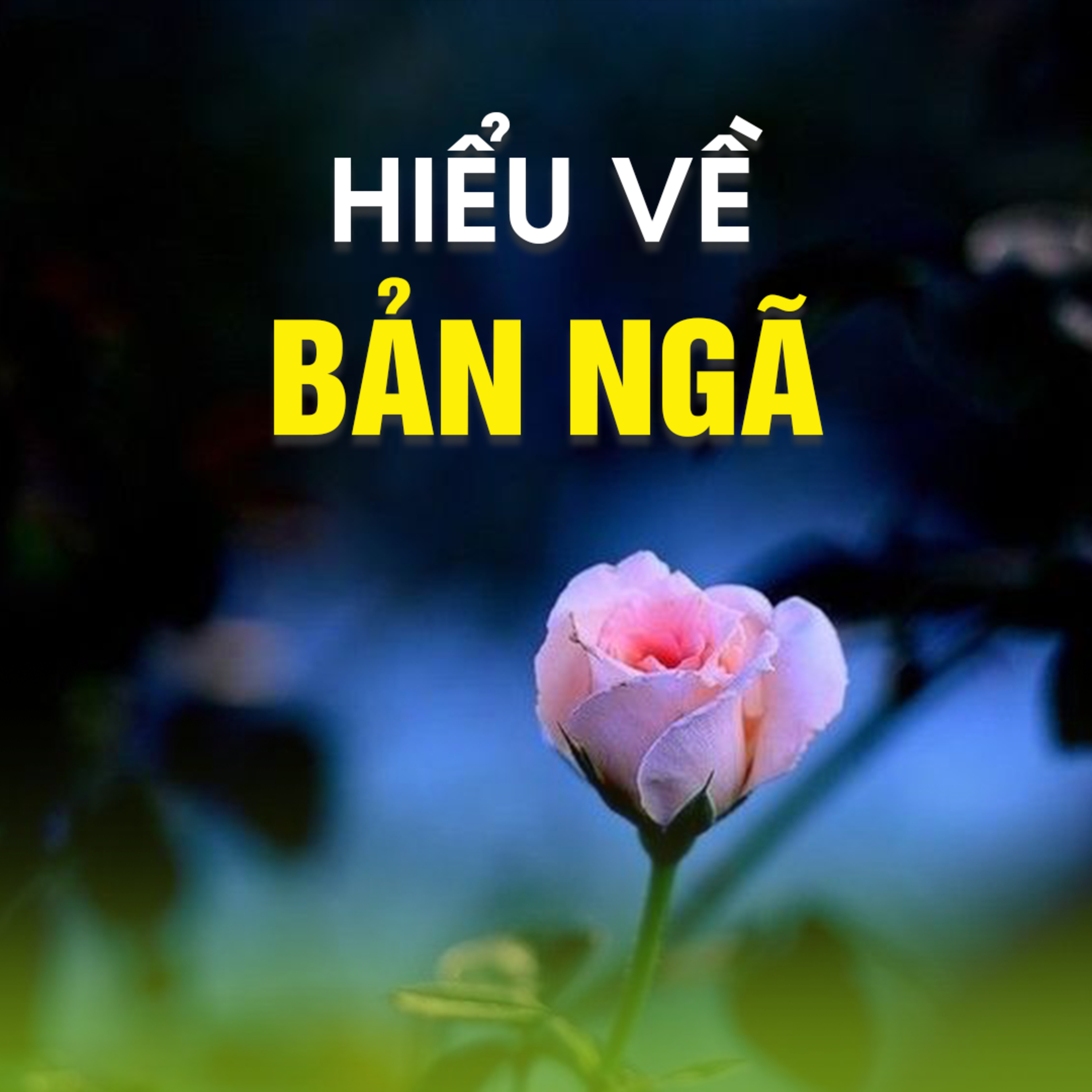 HIỂU VỀ BẢN NGÃ - TT.TS. Thích Chân Quang  episode artwork